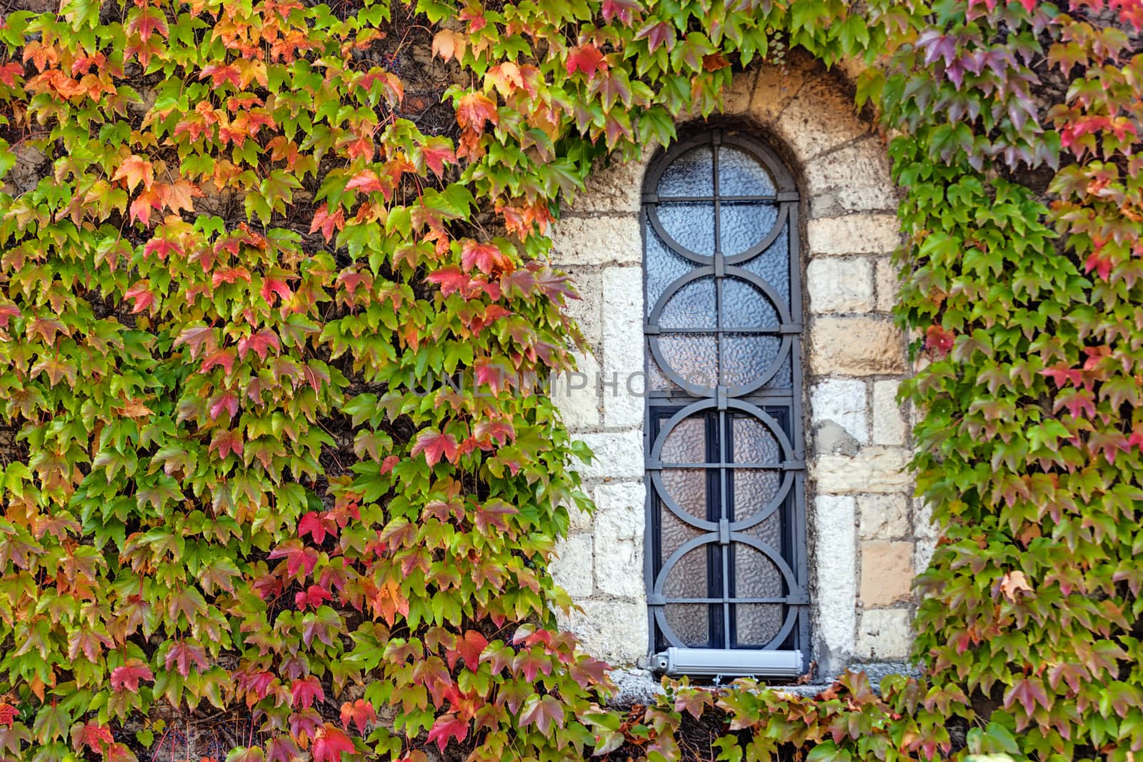 window on the old stone wall with orange and green leaves  