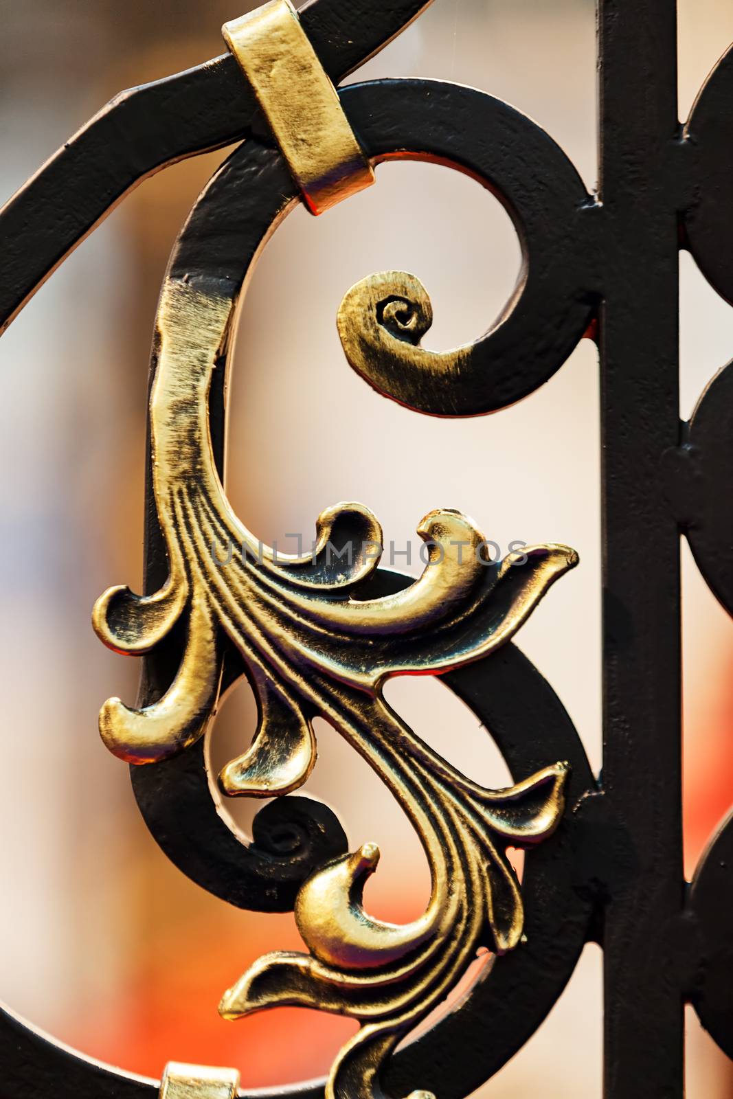 details of structure and ornaments of wrought iron fence and gate