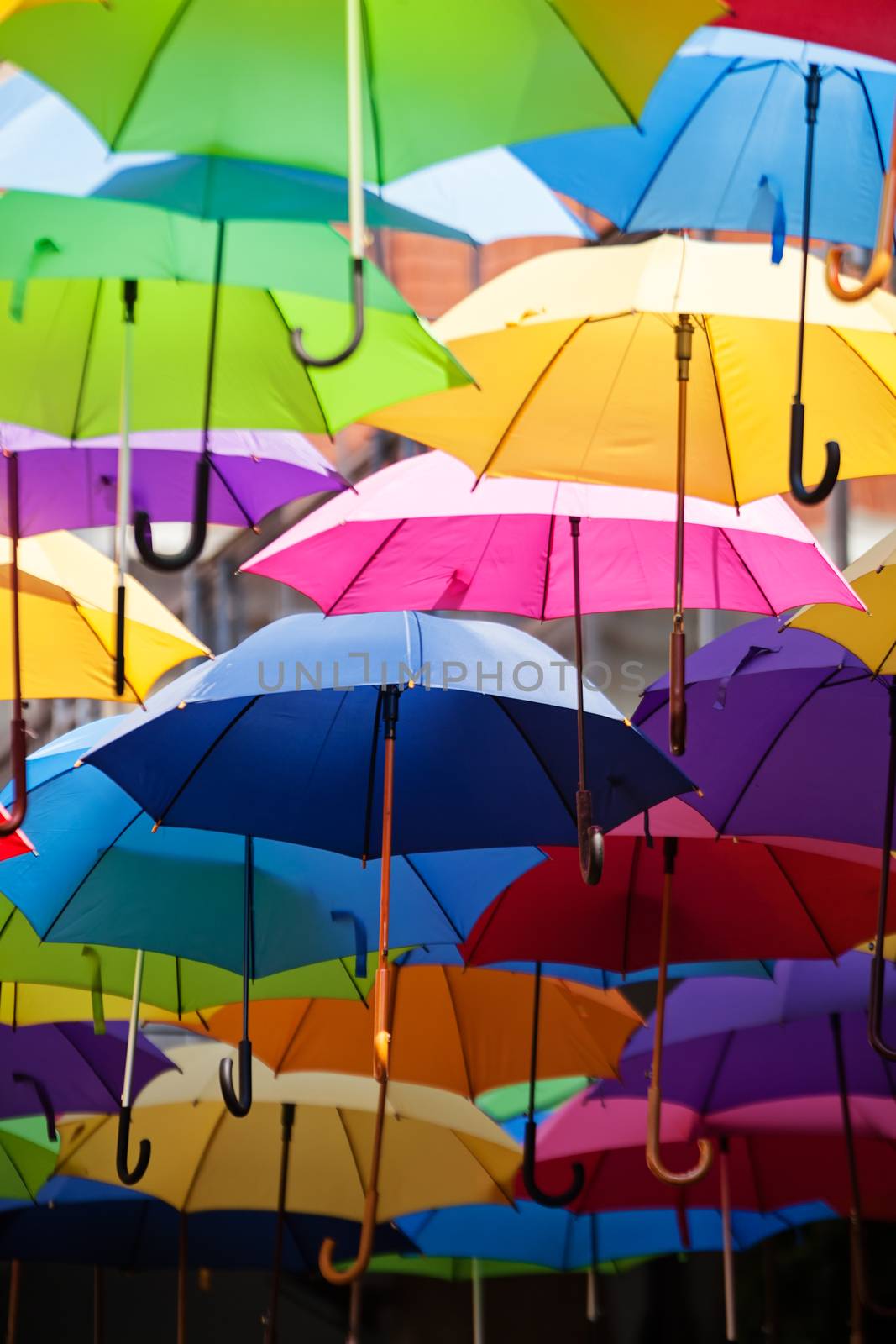 street decoration with colorful open umbrellas at old part of Belgrade, Serbia