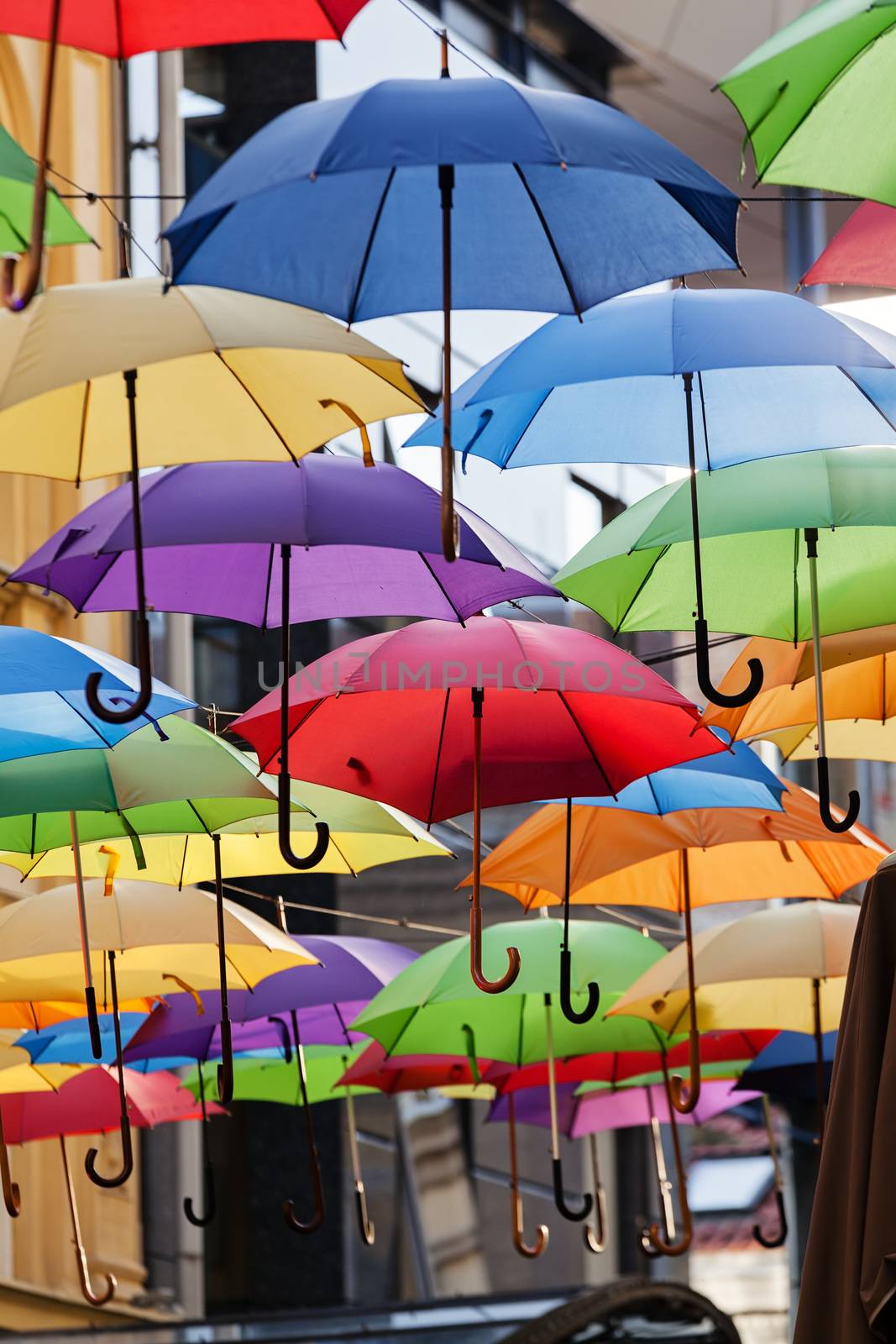 street decoration with colorful open umbrellas at old part of Belgrade, Serbia