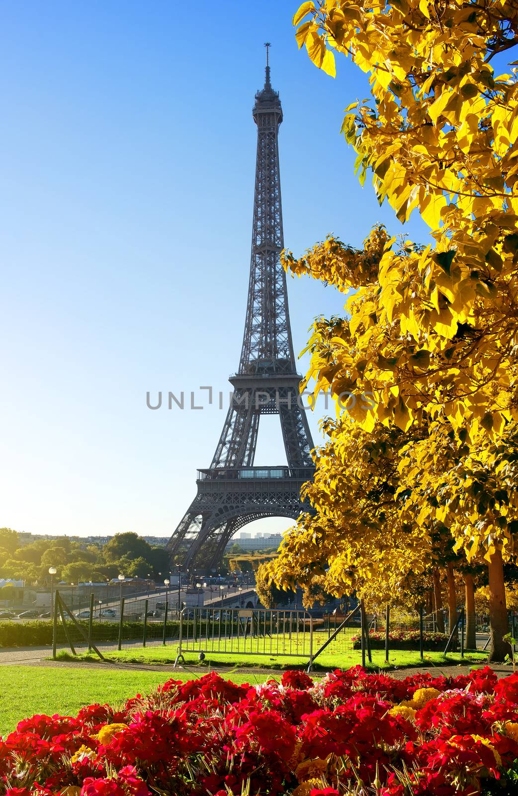 Flower and Eiffel Tower in autumn by Givaga
