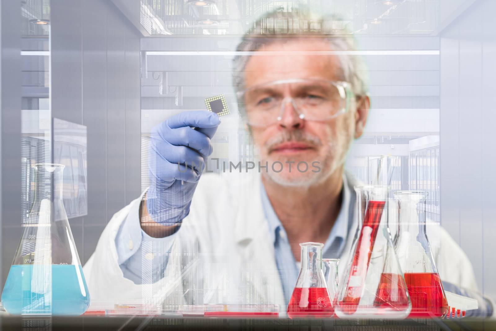 Senior life science research researching in modern scientific laboratory. Focused senior life science professional holding and observing the micro chip. Lens focus on the chip.