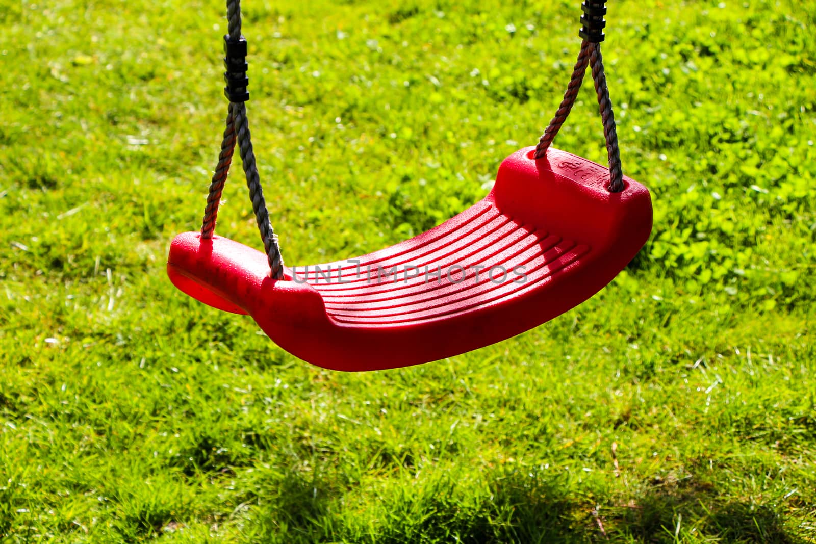 Red swing and green grass in garden in sunny spring.