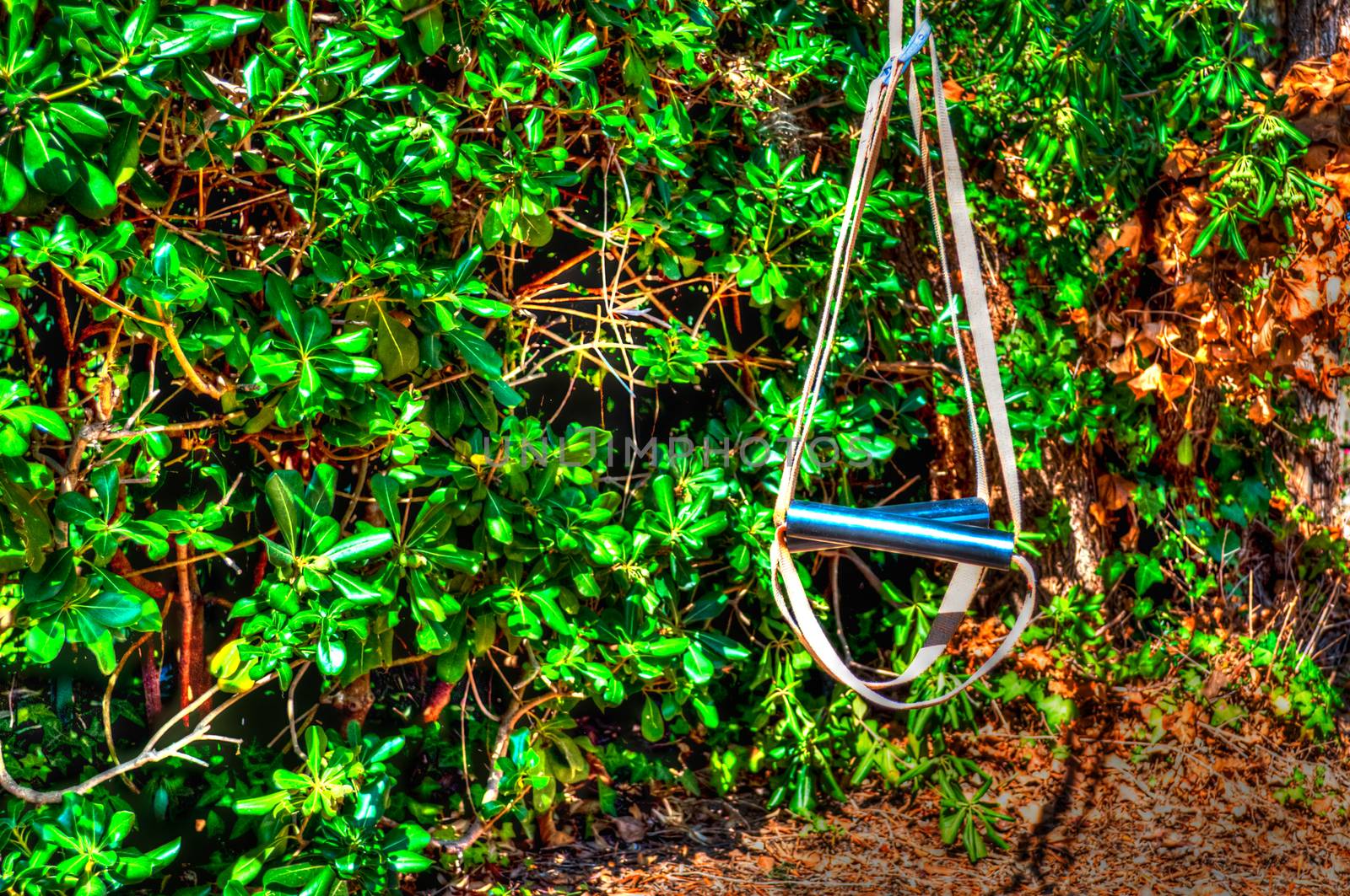 Closeup on homemade suspension training kit in a garden