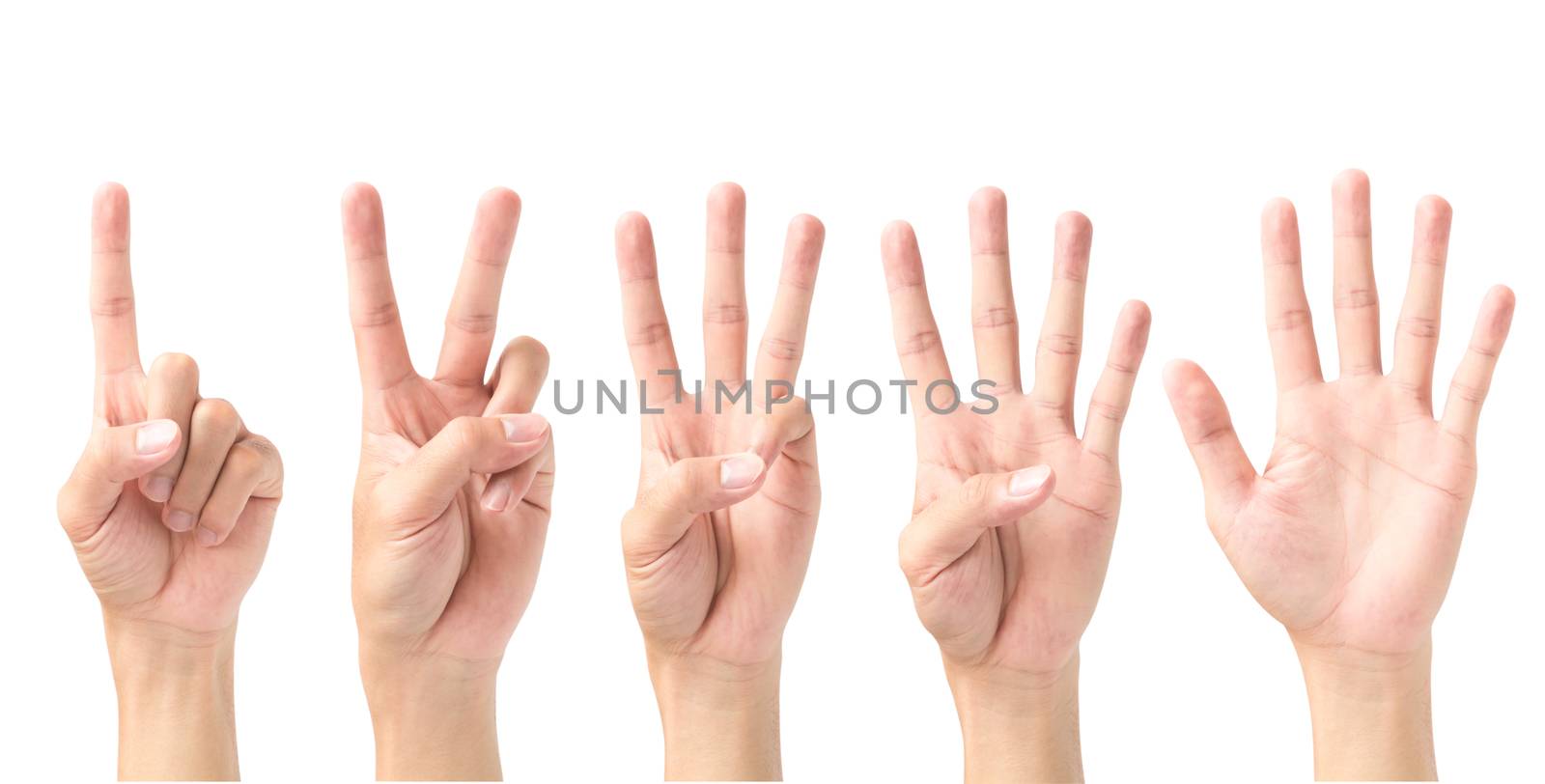 Set of number 1 2 3 4 5 with hand sign isolated on white background