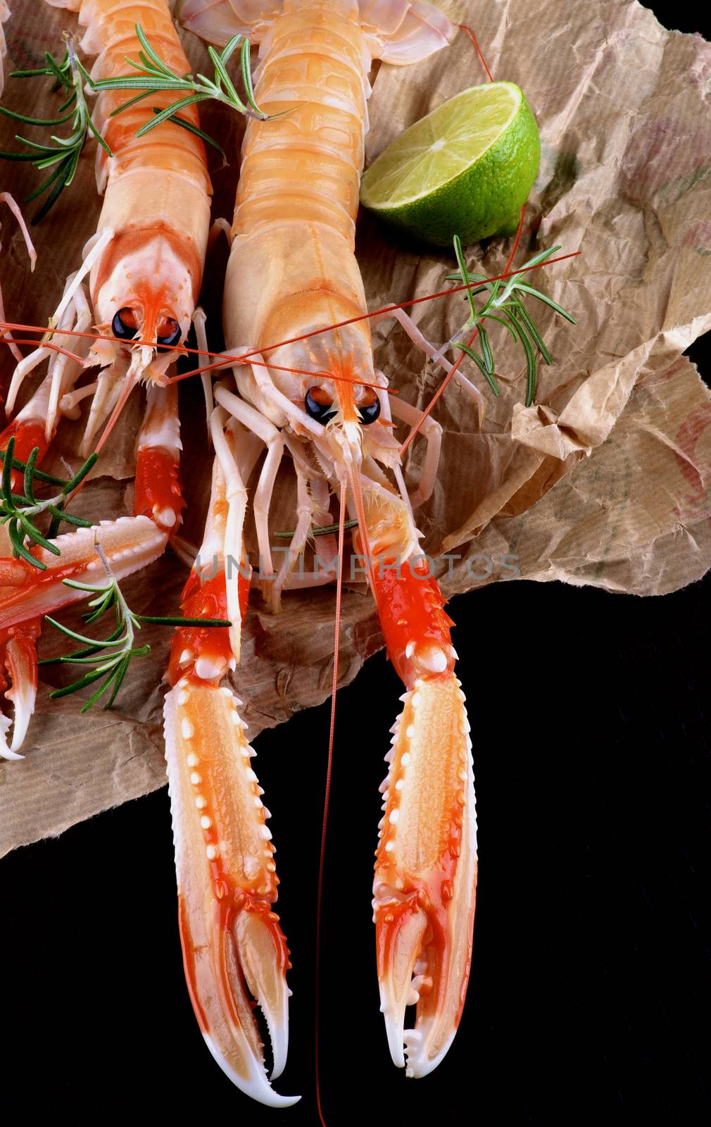 Delicious Raw Langoustines with Half of Lime and Rosemary on Parchment Paper closeup on Dark Wooden background