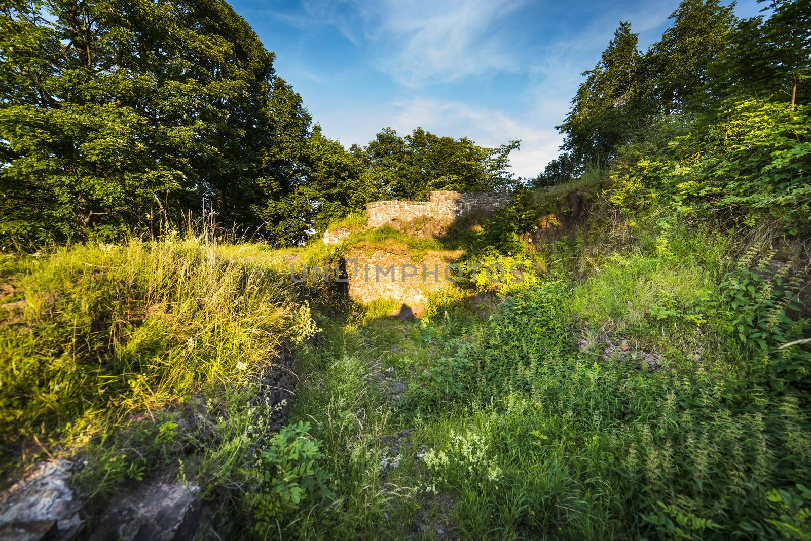 Castle Ruins on Rogowiec - Suche Mountains