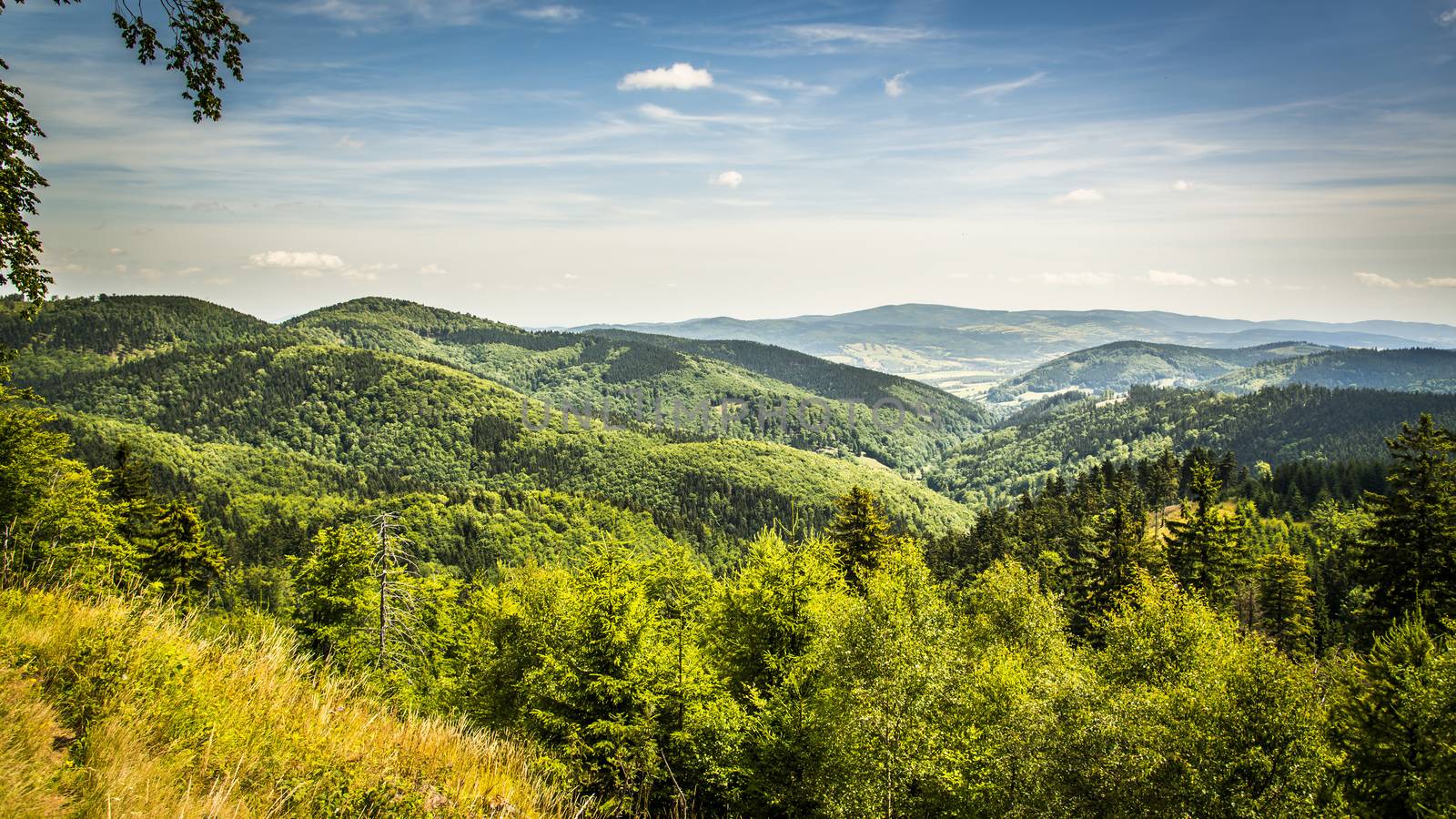 View from Waligora on Suche Mountains, Poland