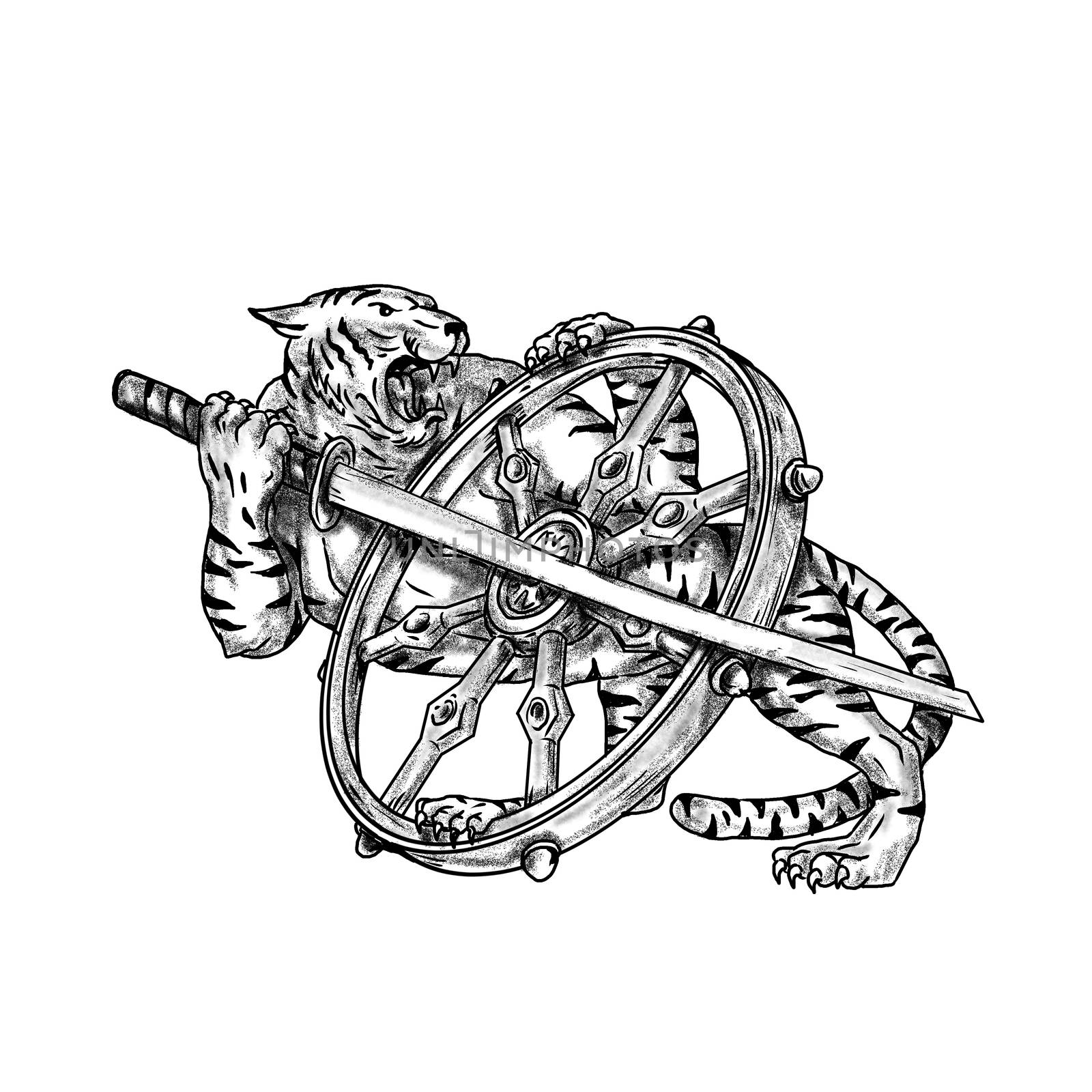 Tattoo style illustration of a Tiger With Katana Samurai Sword and Dharma Wheel done in hand sketch drawing Tattoo style.
