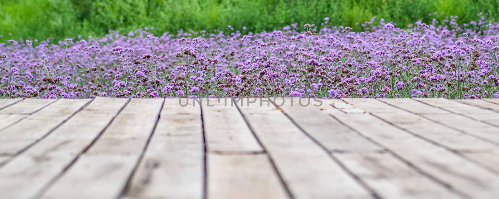 flowers and wooden pierce view. wallpaper