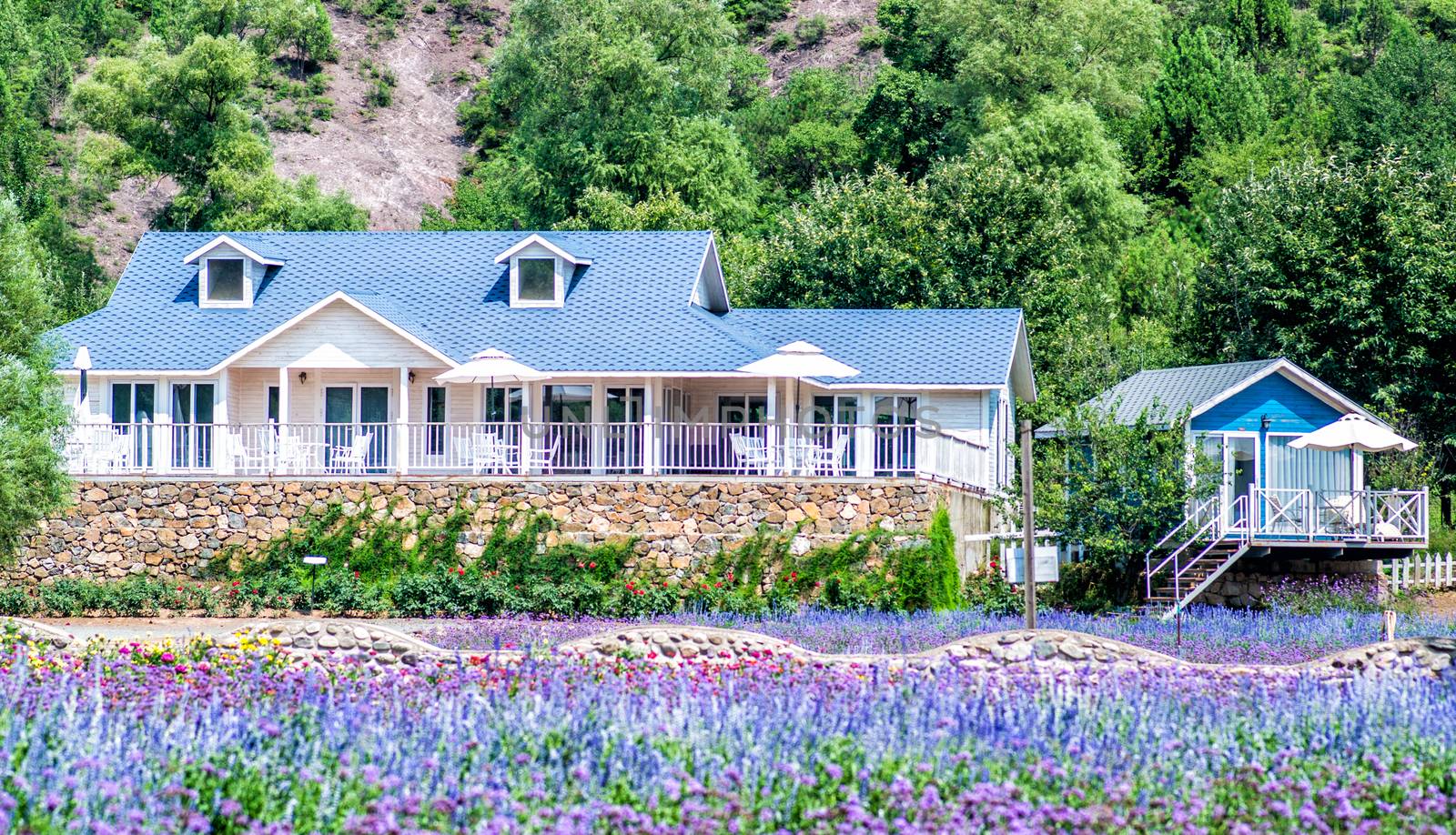 summer houses in a beautiful landscape