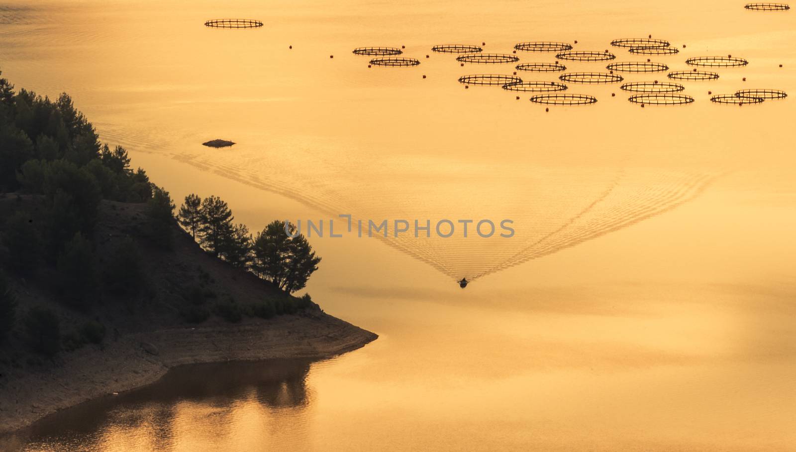 Fisherman with boat and fish farming