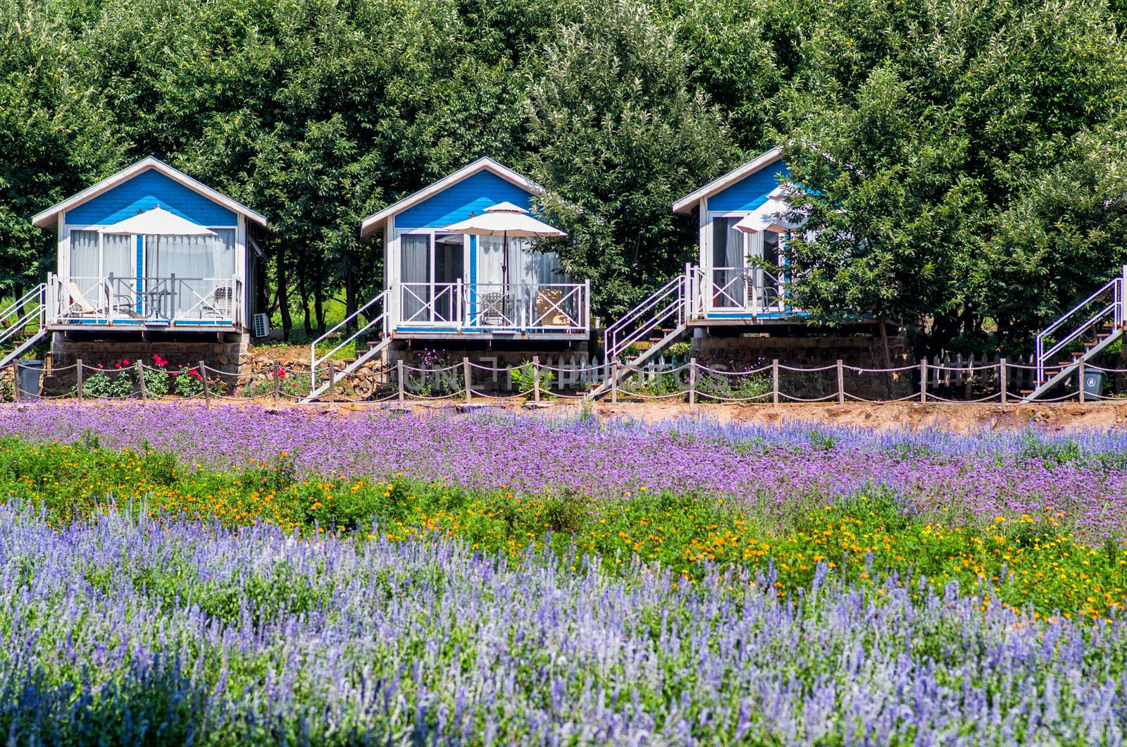 summer houses in a beautiful landscape by Desperada