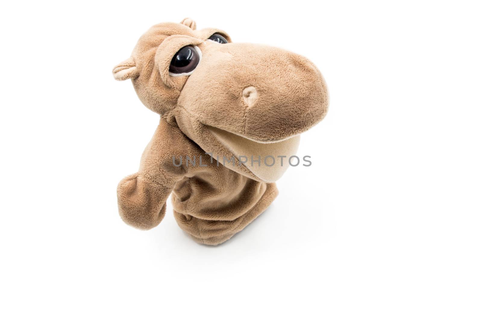 toy hippo on the white background