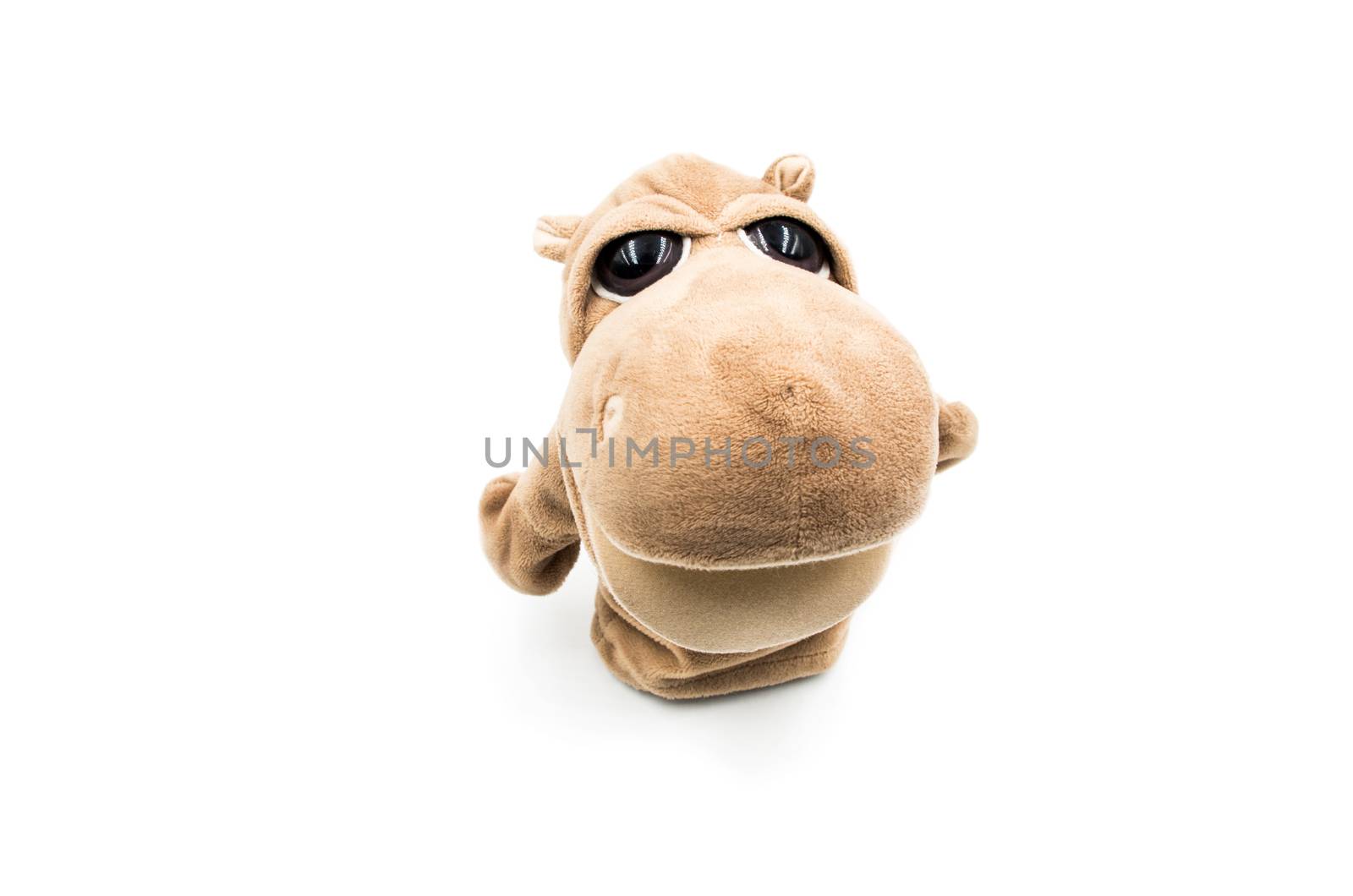 toy hippo white background by Desperada