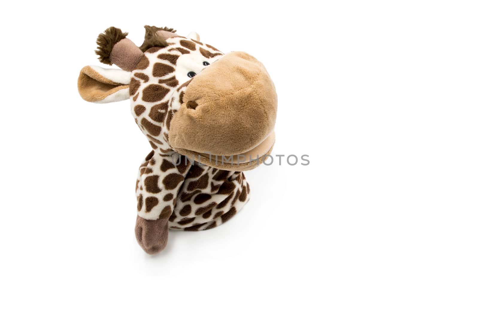 toy giraffe on the white background
