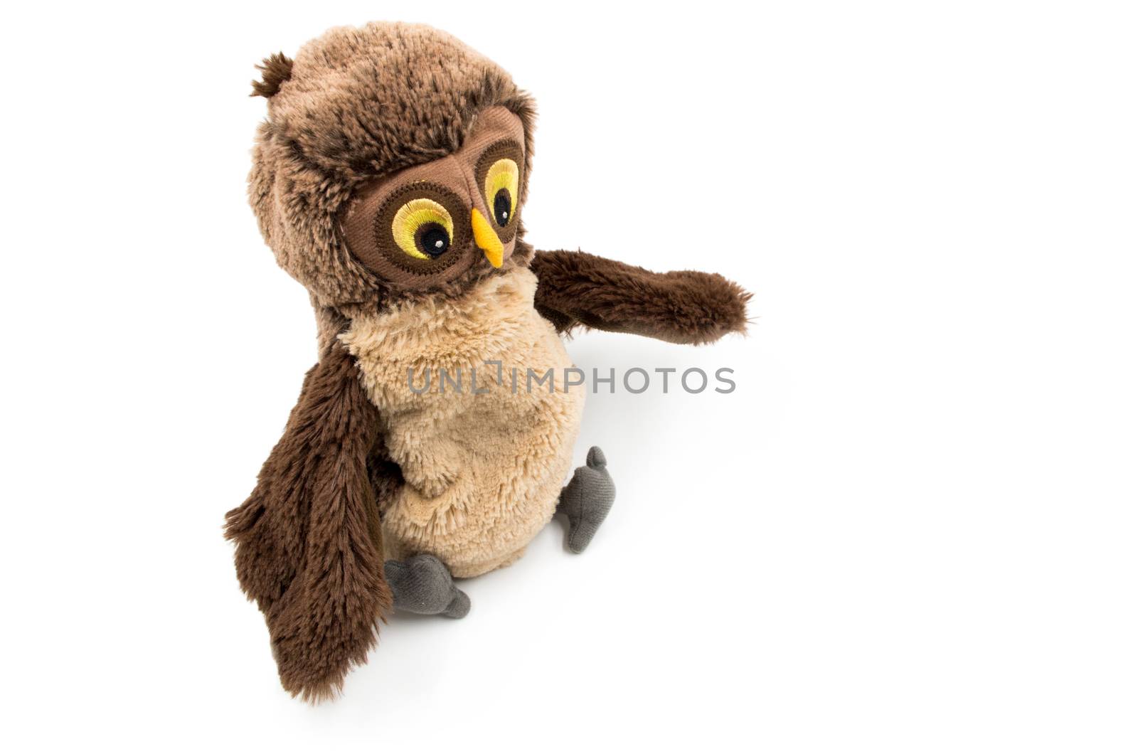 toy owl white background by Desperada