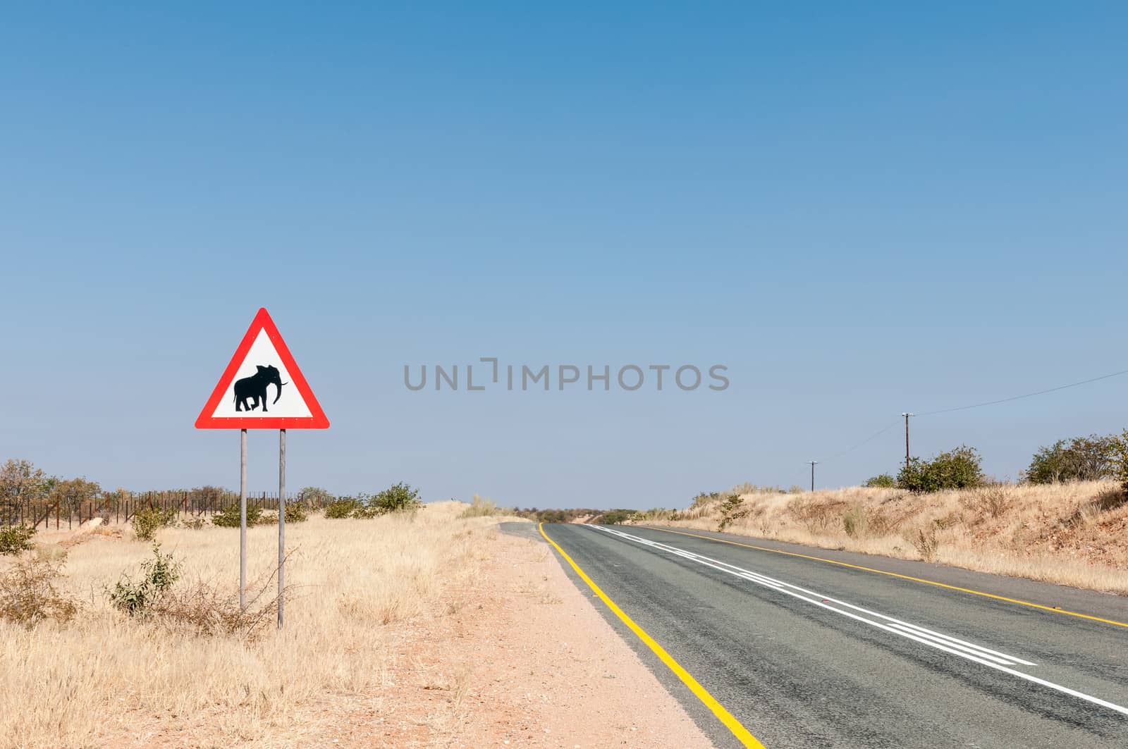 An elephant warning road sign on the C35-road north of Kamanjab in North-Western Namibia. The fence of the Etosha National Park is visible to the left