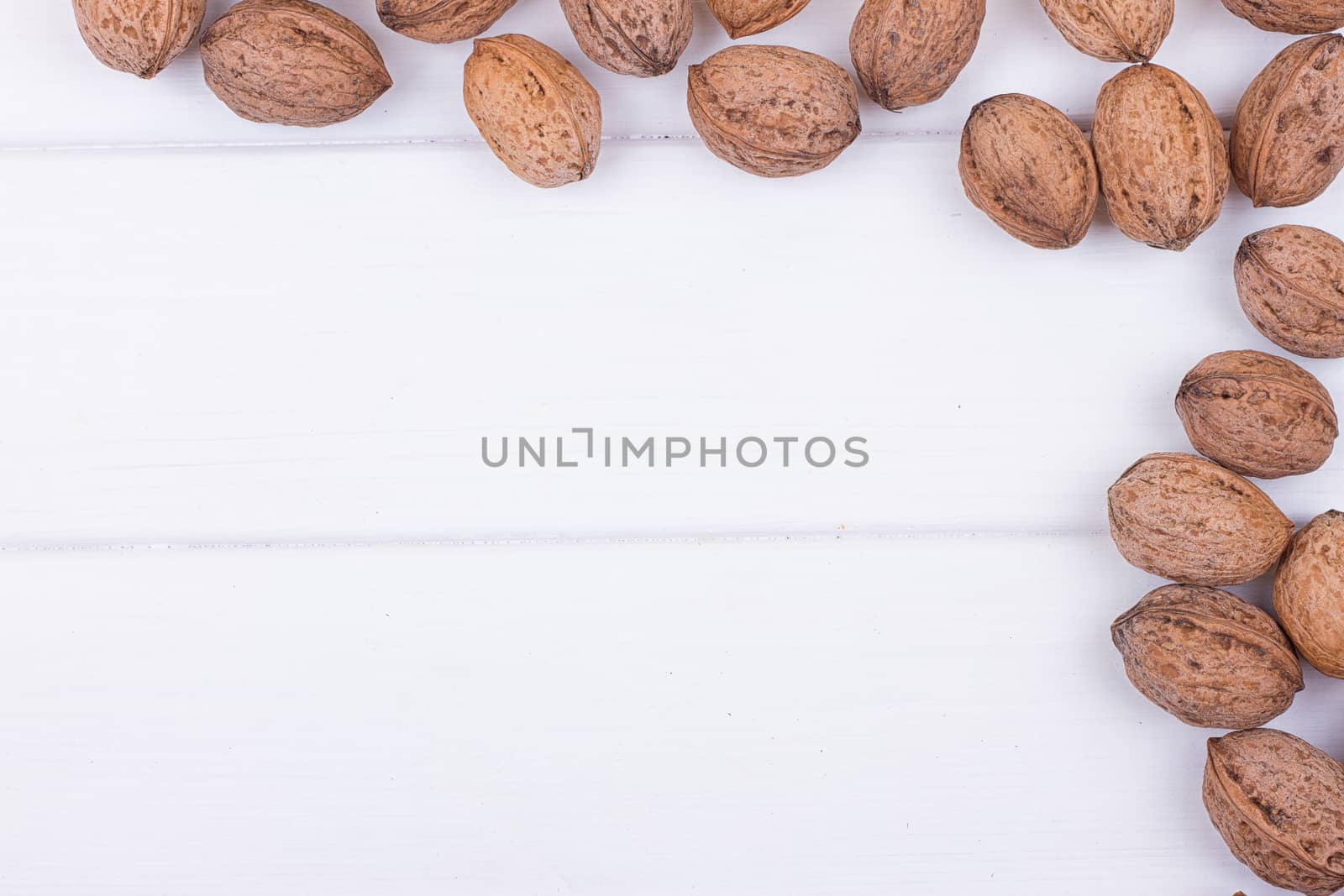 walnuts on white by victosha