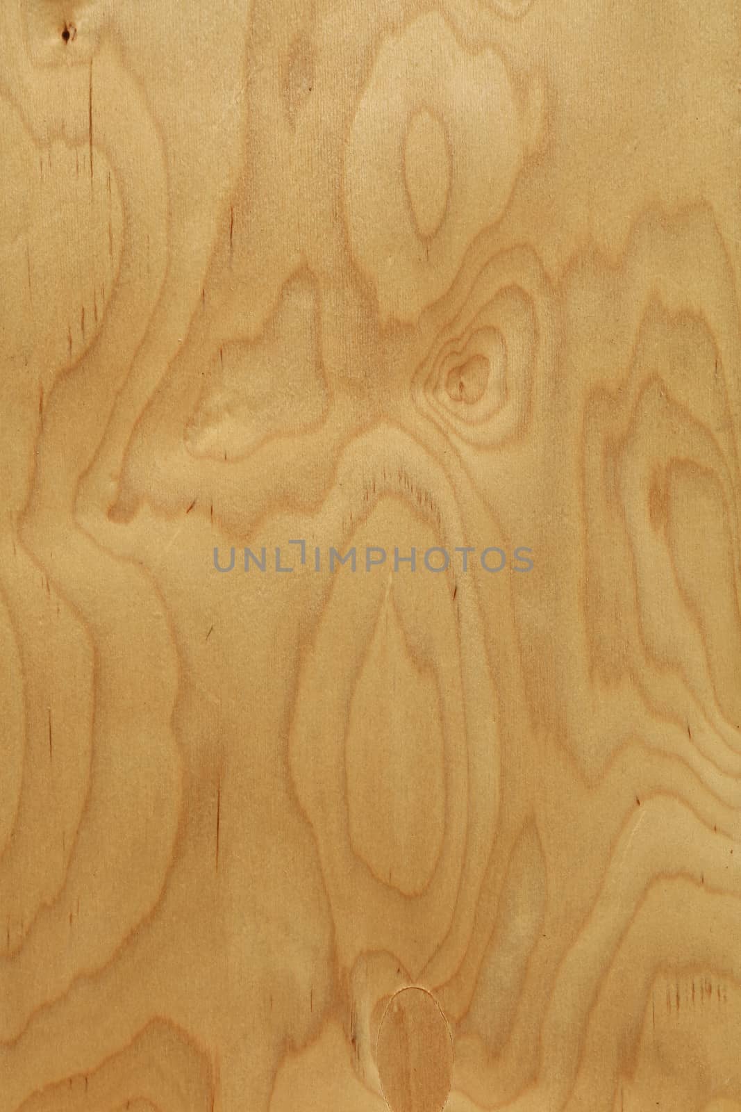 Rough unpainted beige plywood wood grain background texture close up