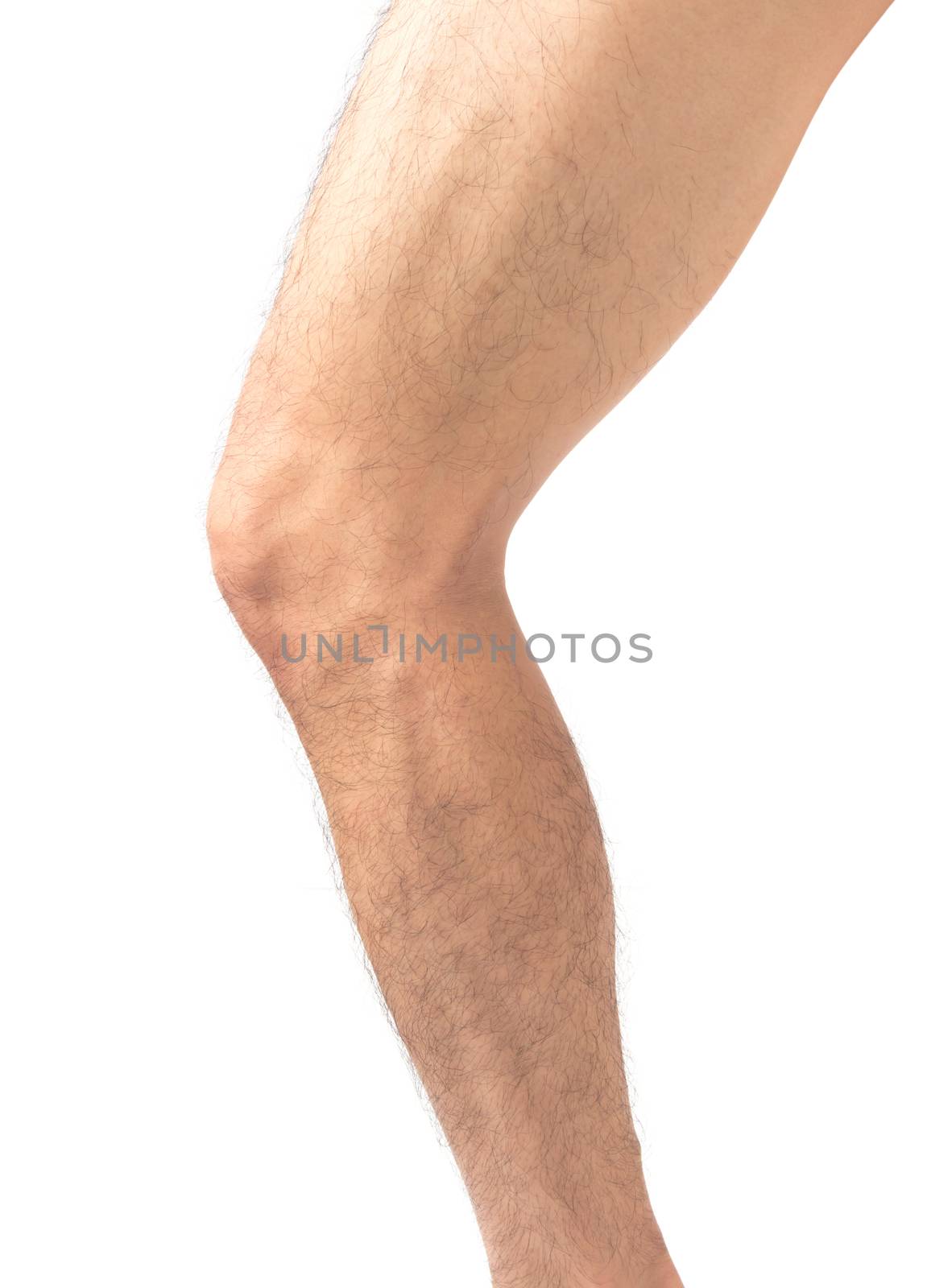 Closeup leg men skin and hairy with white background, health care and medical concept