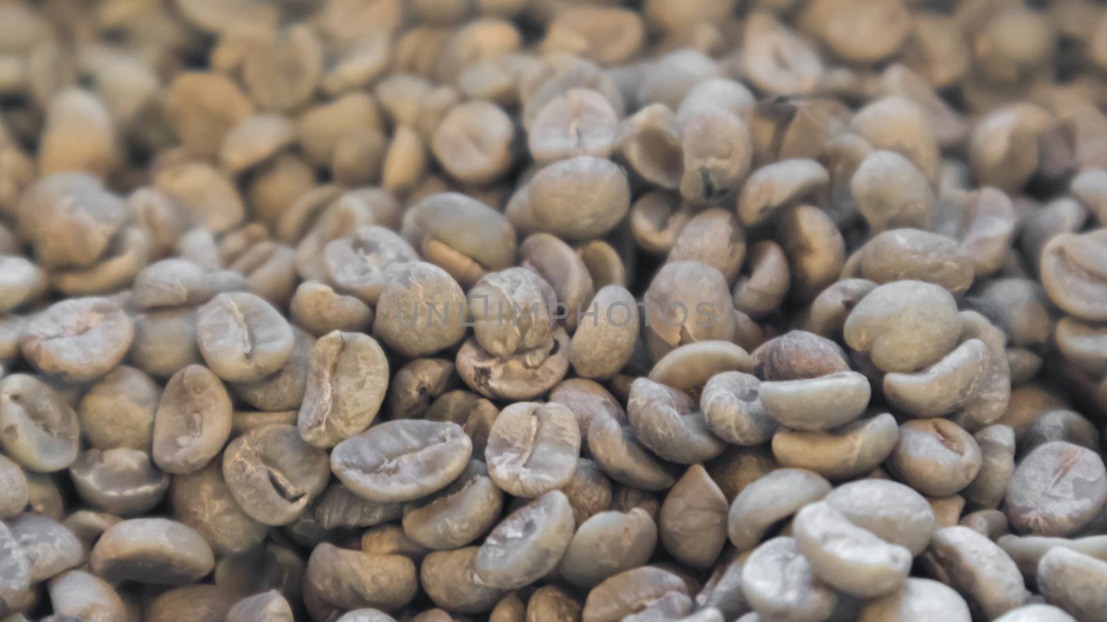 Close up raw coffee beans unroasted background and texture conce by pt.pongsak@gmail.com