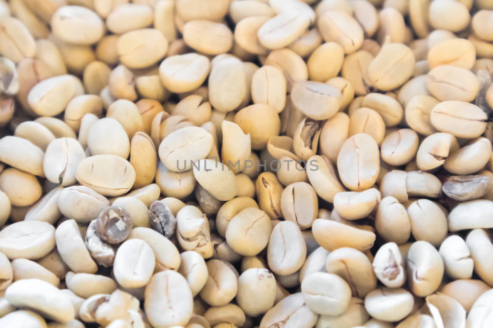 Close up raw green coffee beans unroasted background and texture concept, selective focus
