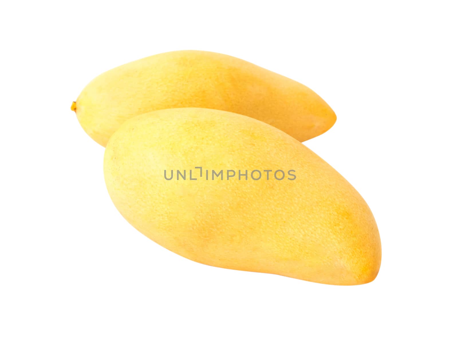 Fresh mango fruit on white background by pt.pongsak@gmail.com