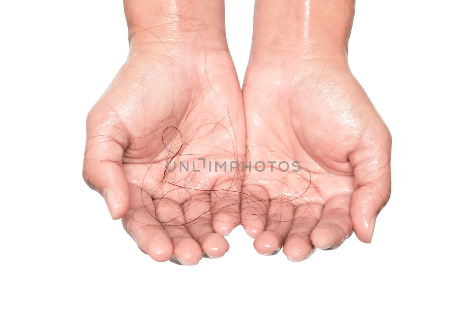 Closeup Hair loss on woman hand on white background