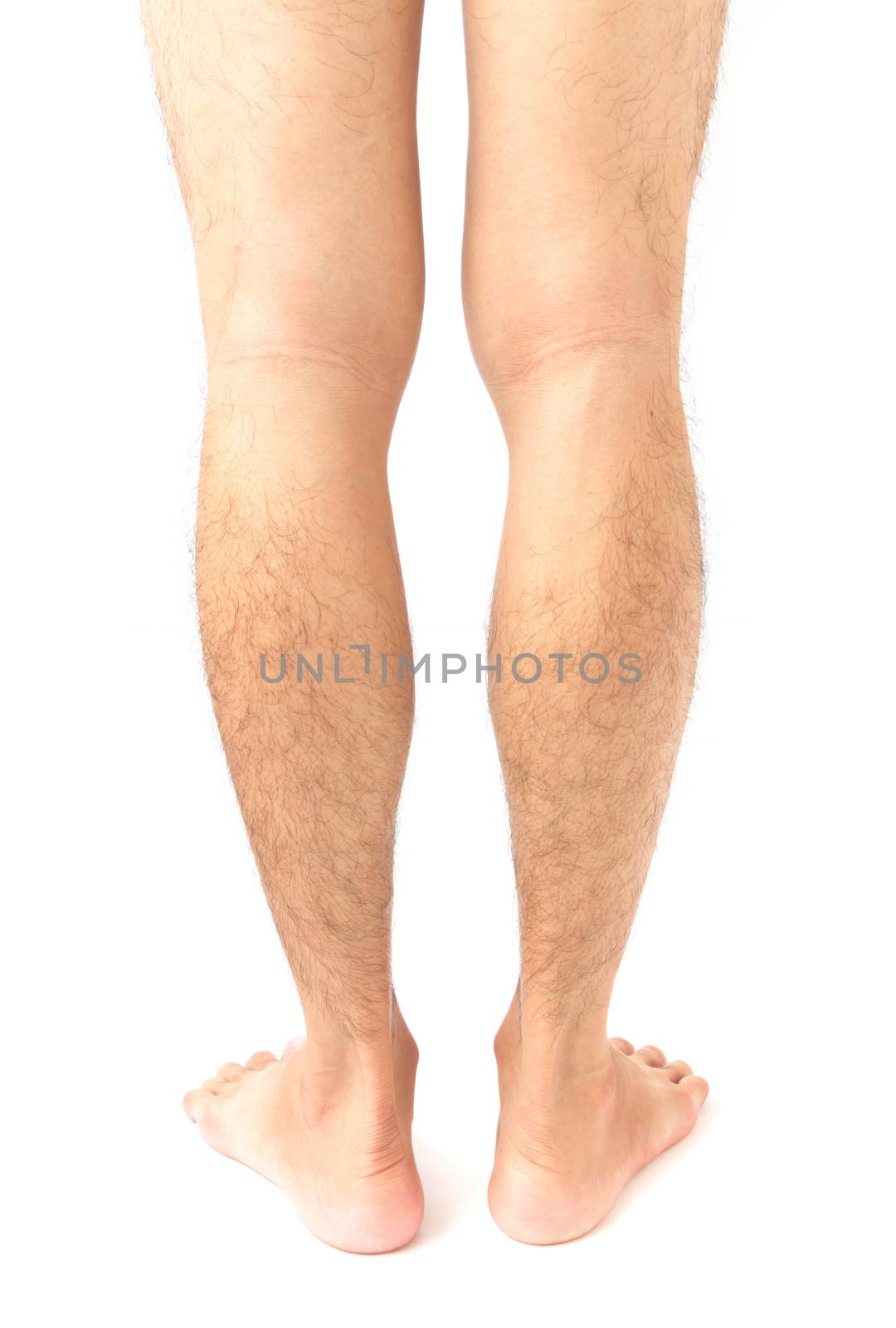 Closeup back of legs men skin and hairy with white background, h by pt.pongsak@gmail.com
