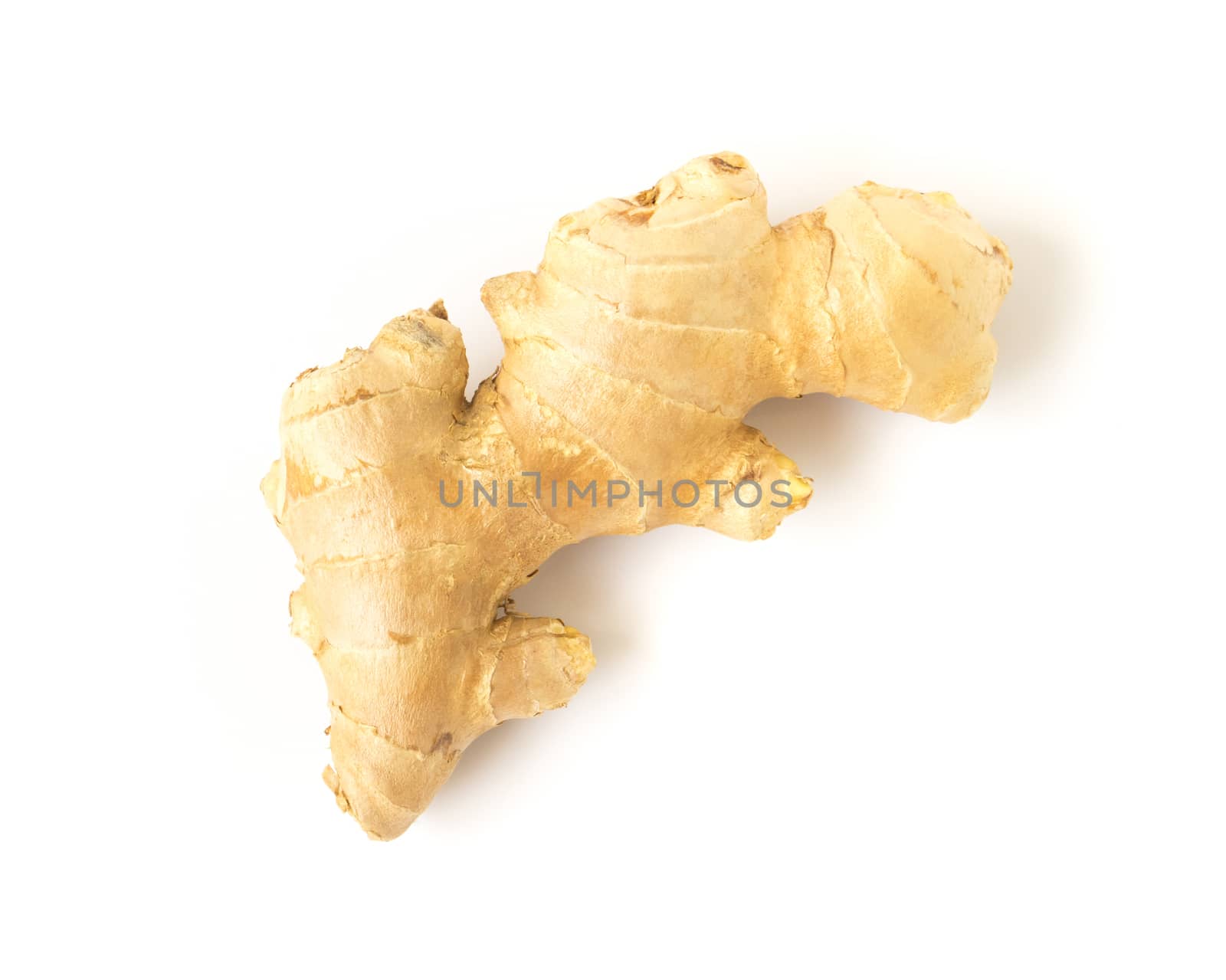 Fresh ginger on white background,raw material for cooking by pt.pongsak@gmail.com