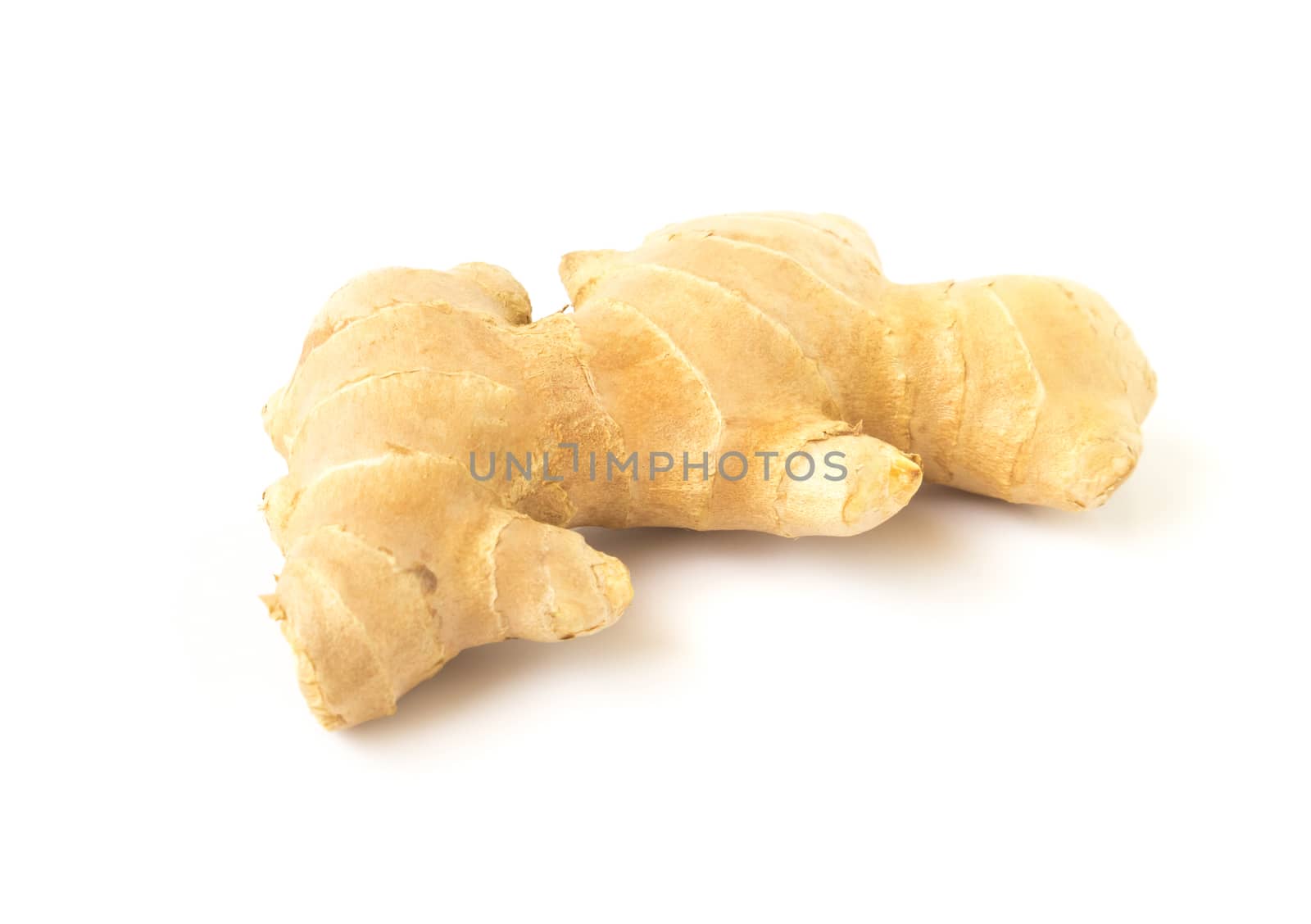 Fresh ginger on white background,raw material for cooking by pt.pongsak@gmail.com