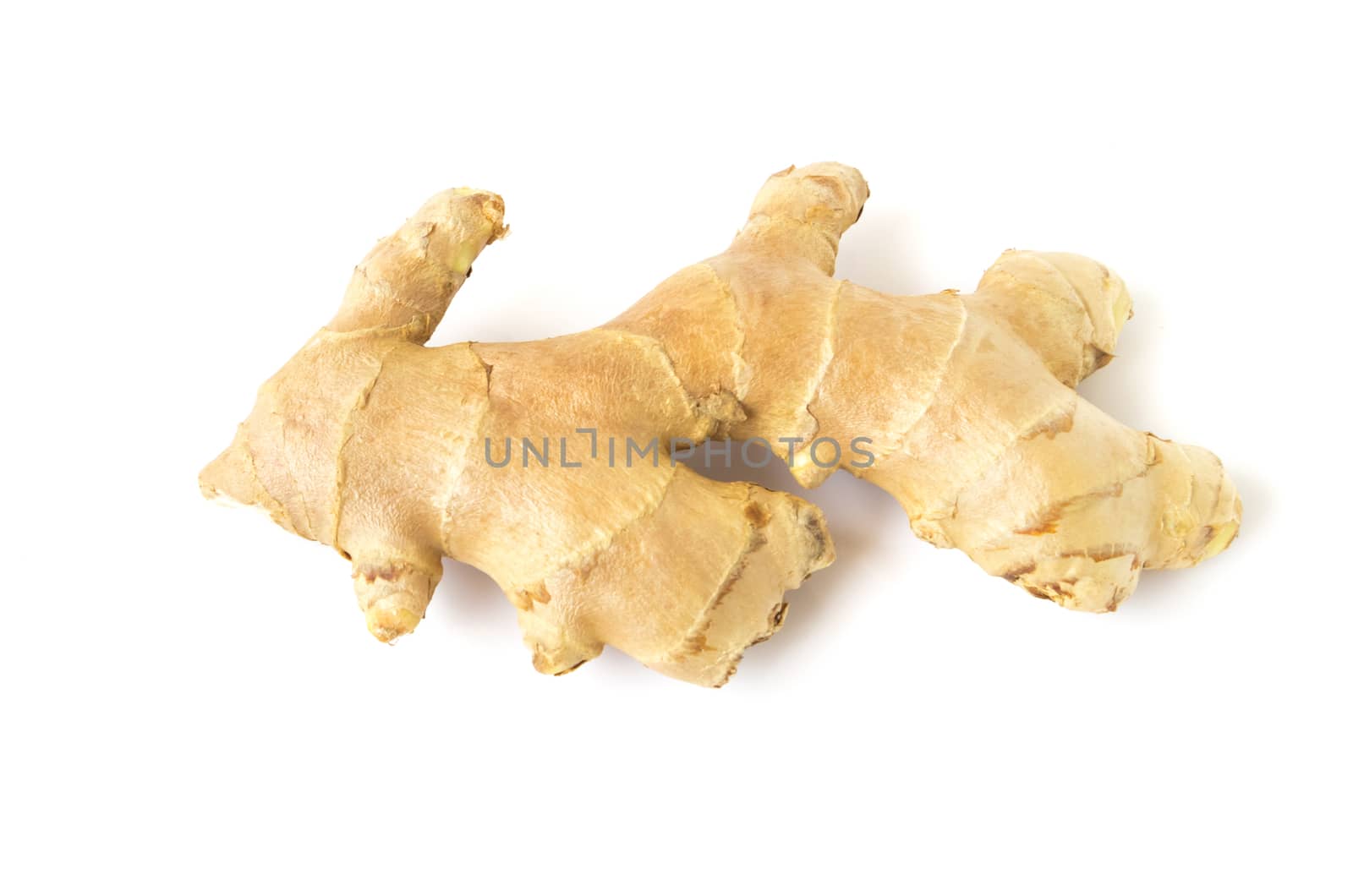 Fresh ginger on white background,raw material for cooking