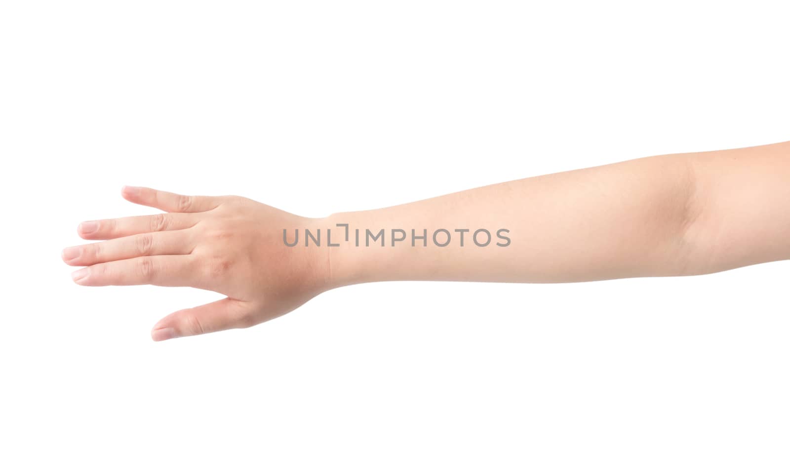 Woman hand isolate on white background, health care and beauty c by pt.pongsak@gmail.com