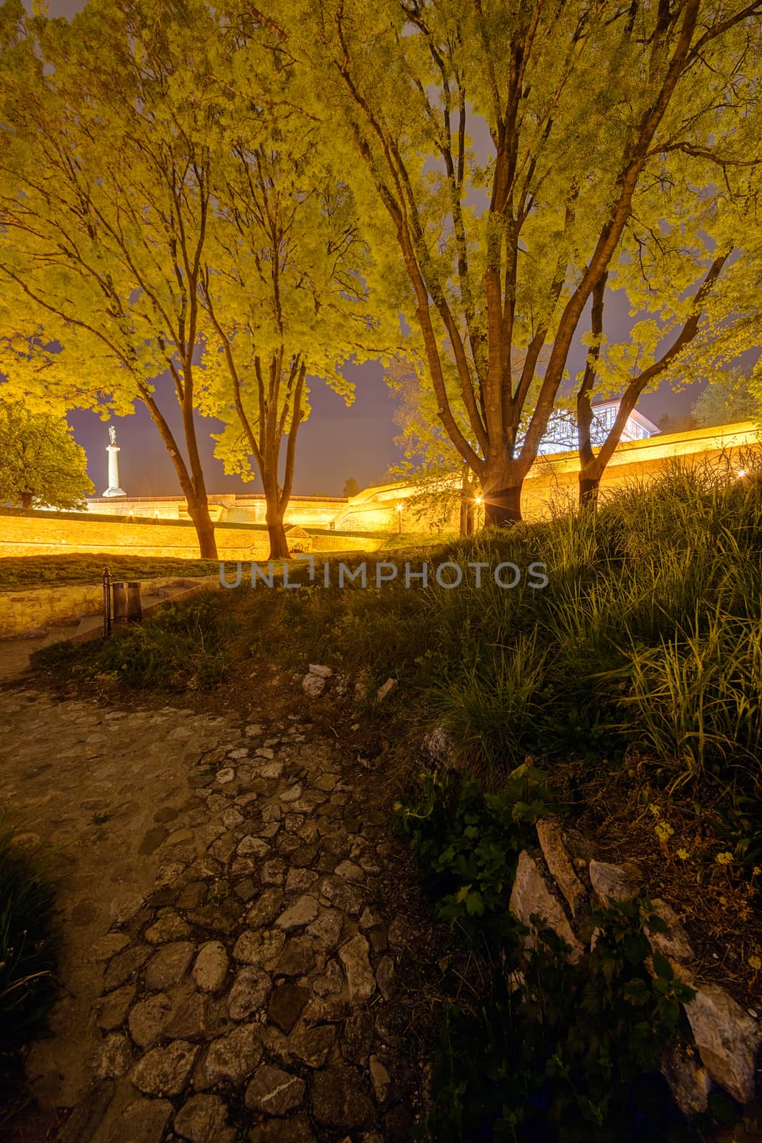 Belgrade fortress and Kalemegdan park with victor monument at night