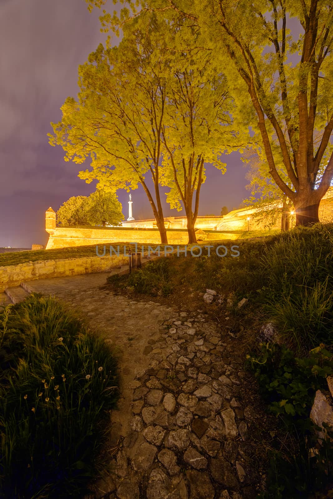 Belgrade medieval walls of fortress and park at night, Serbia