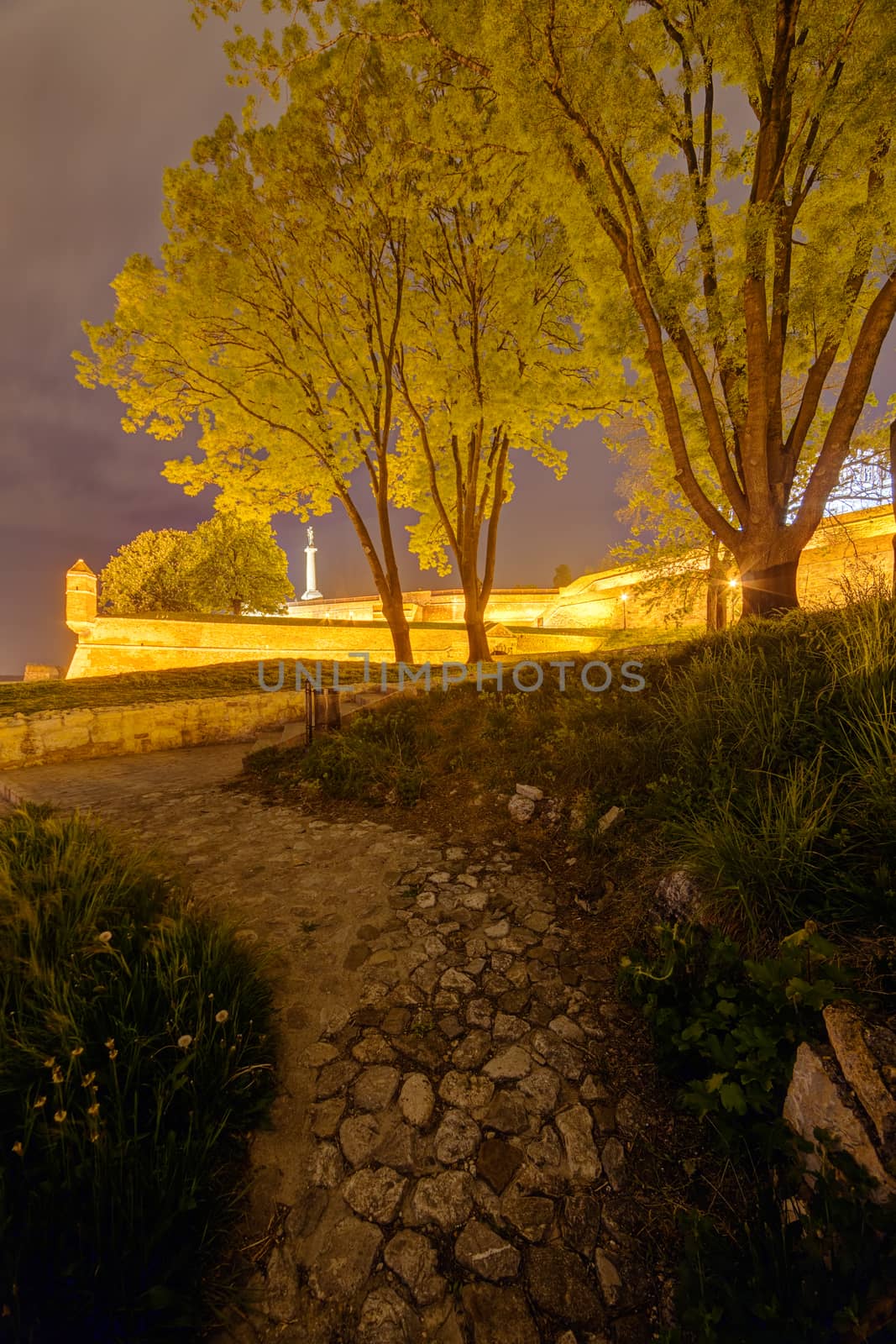 Belgrade medieval walls of fortress and park at night, Serbia