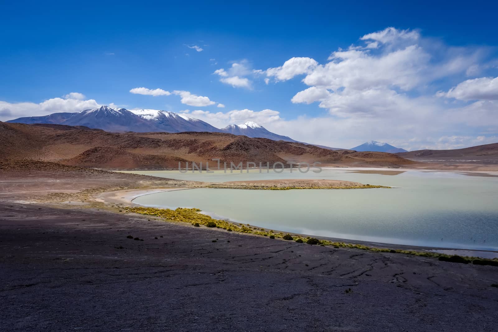 Laguna Honda in sud Lipez Altiplano reserva, Bolivia by daboost