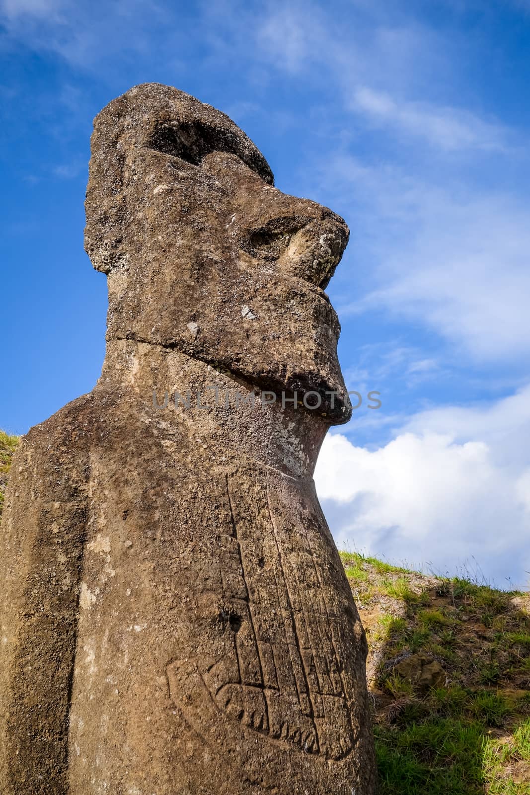 Moai statue on Rano Raraku volcano, easter island by daboost