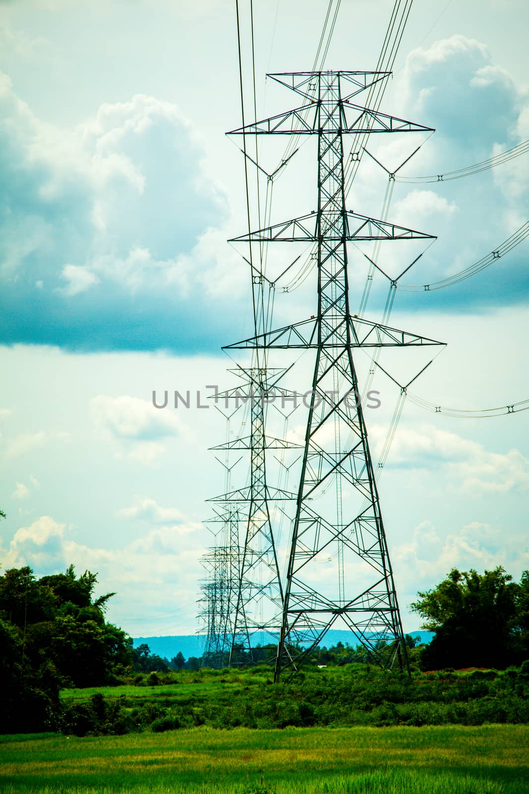 High-voltage power lines in rice fields by N_u_T