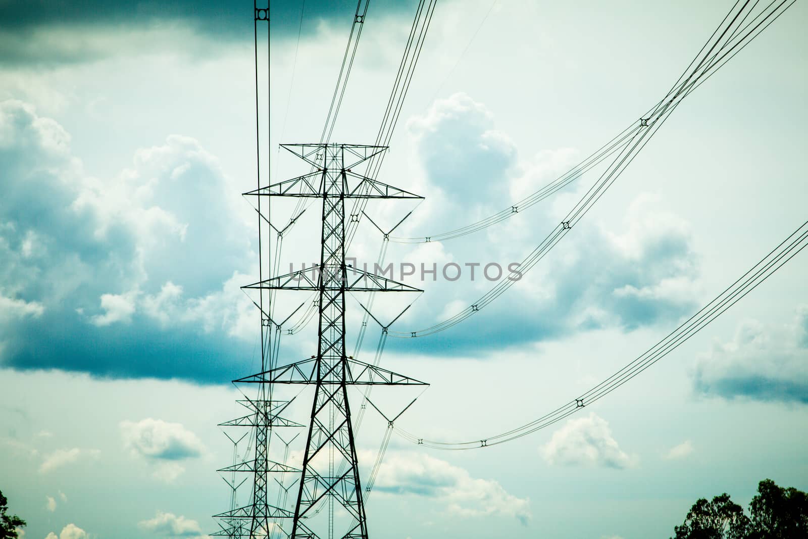 Electricity poles are located on the electric field in rice fields. by N_u_T