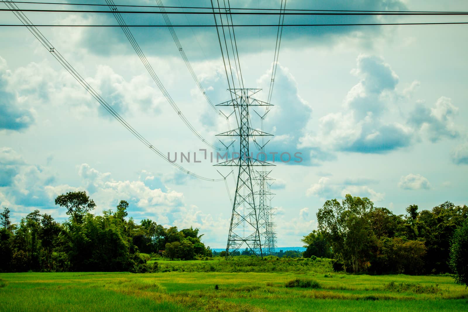 Electricity poles are located on the electric field in rice fields. by N_u_T