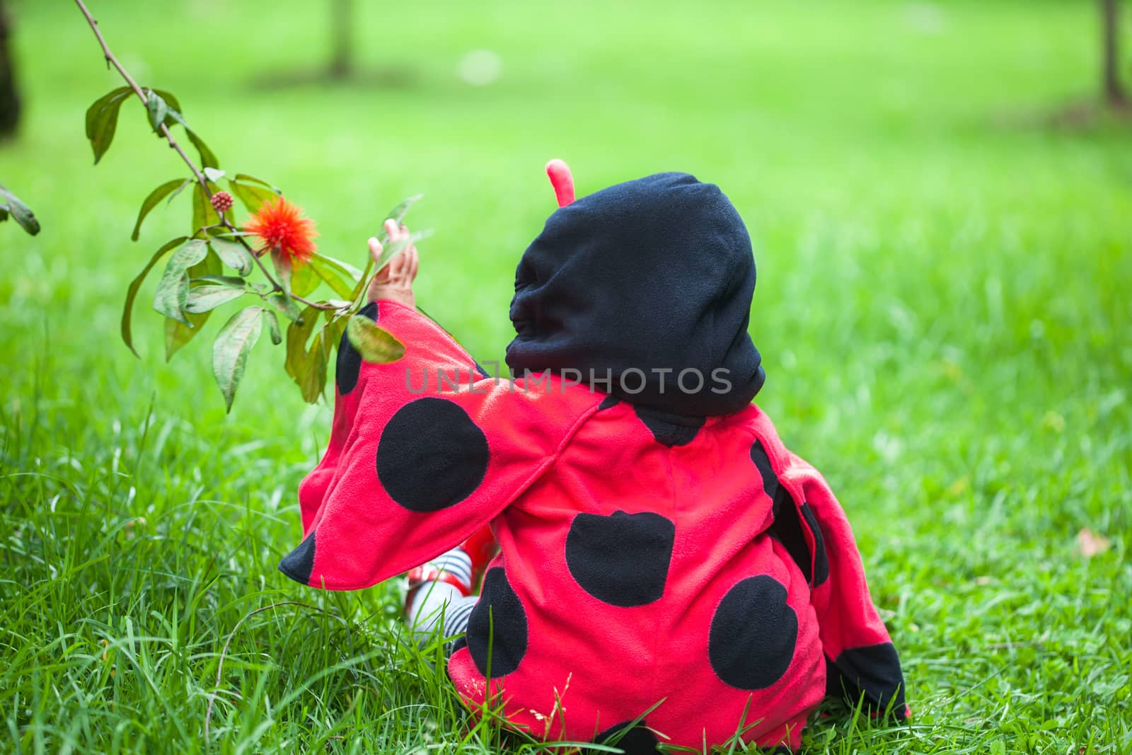 Little baby girl wearing a ladybug costume