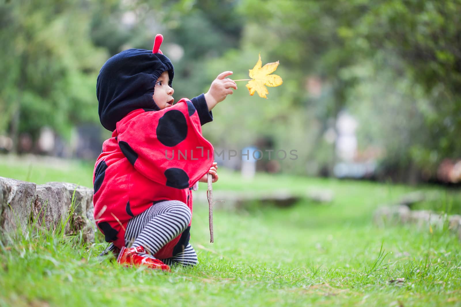 Little baby girl wearing a ladybug costume