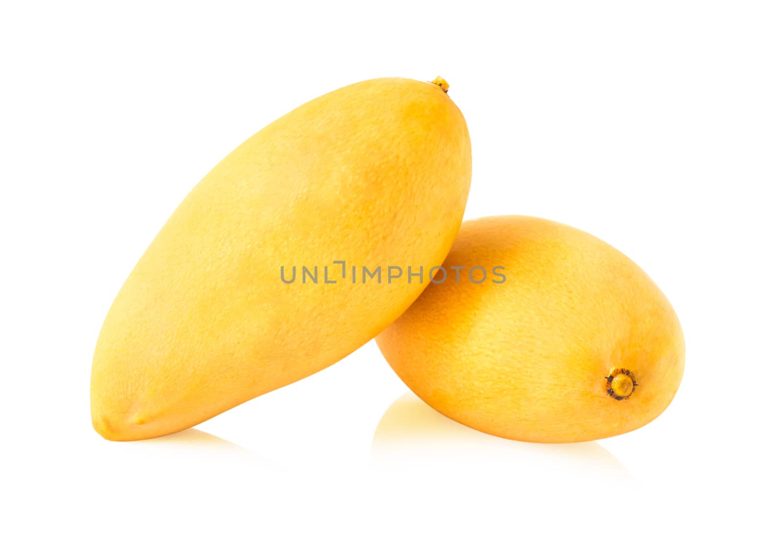 Fresh mango fruit on white background