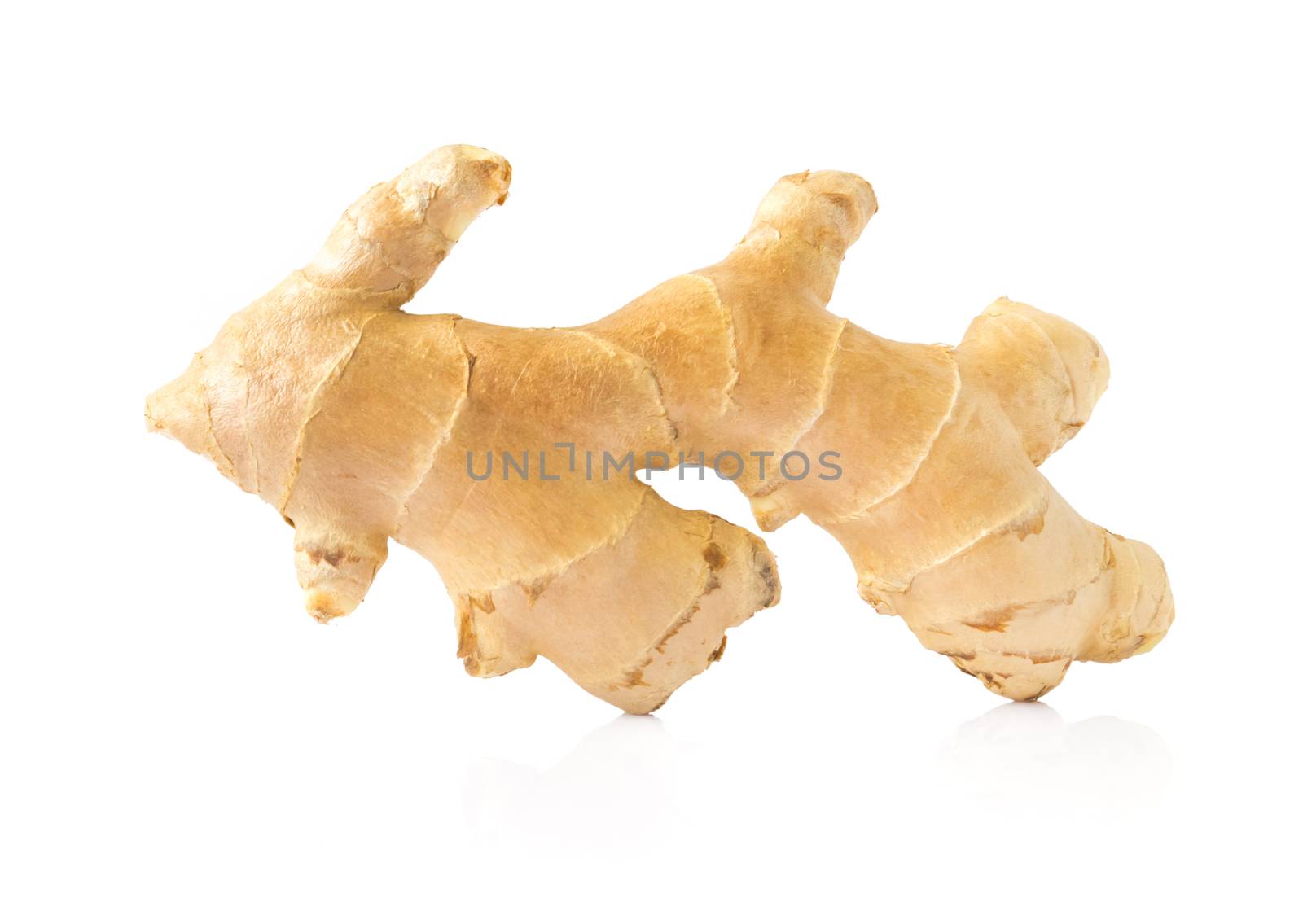 Fresh ginger on white background, herb medical concept by pt.pongsak@gmail.com