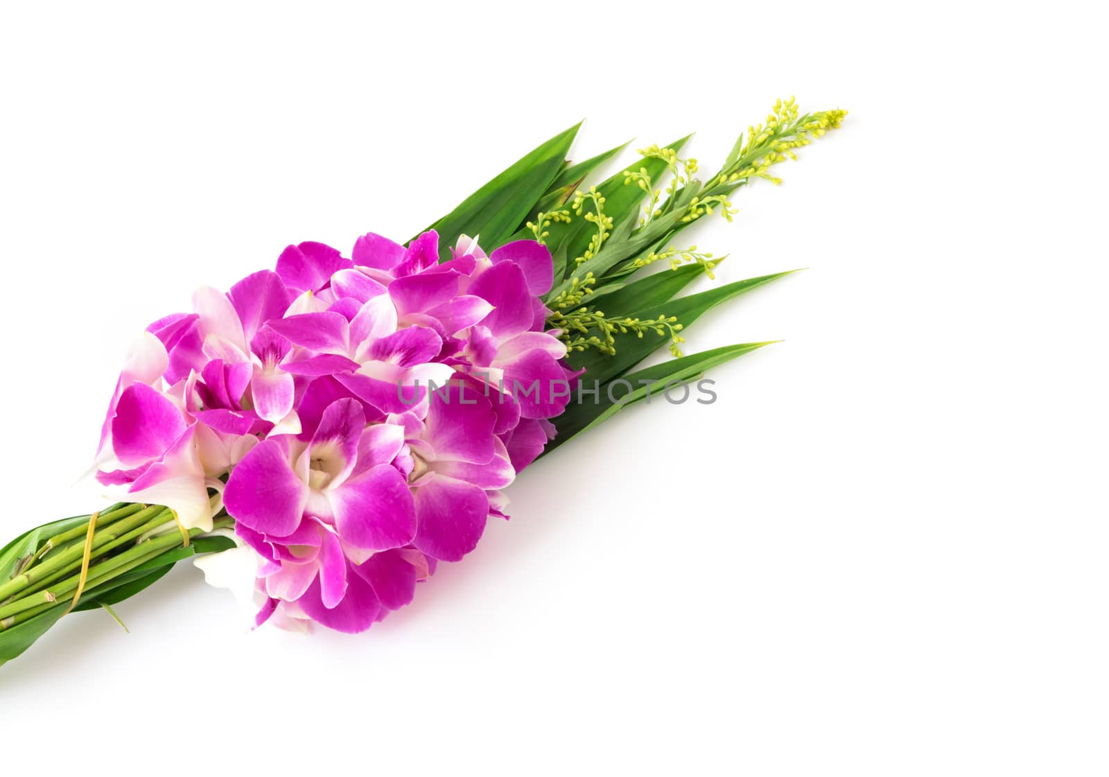 Buddhist Orchid Flower offerings to gods