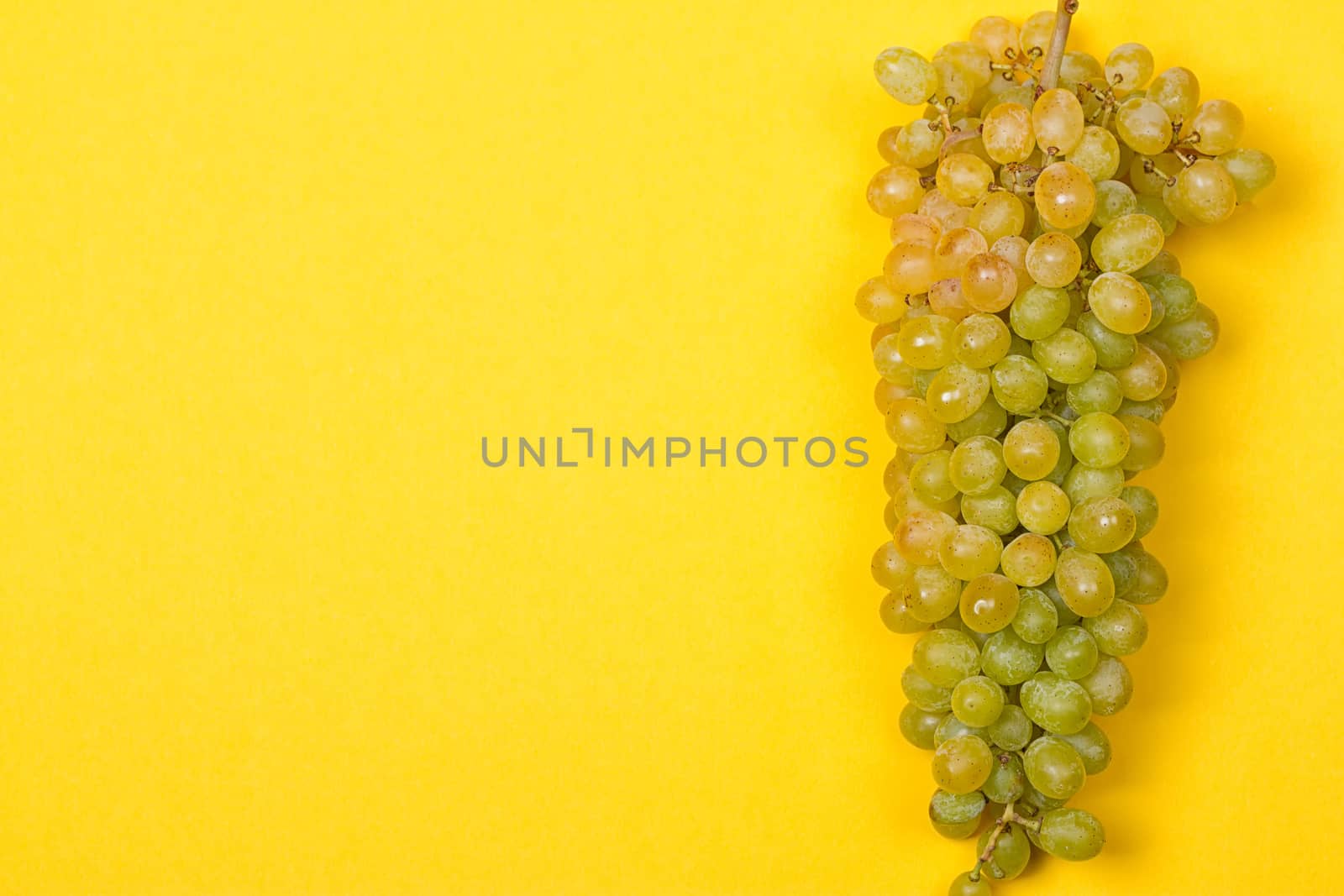 Green grape bunch on the yellow background