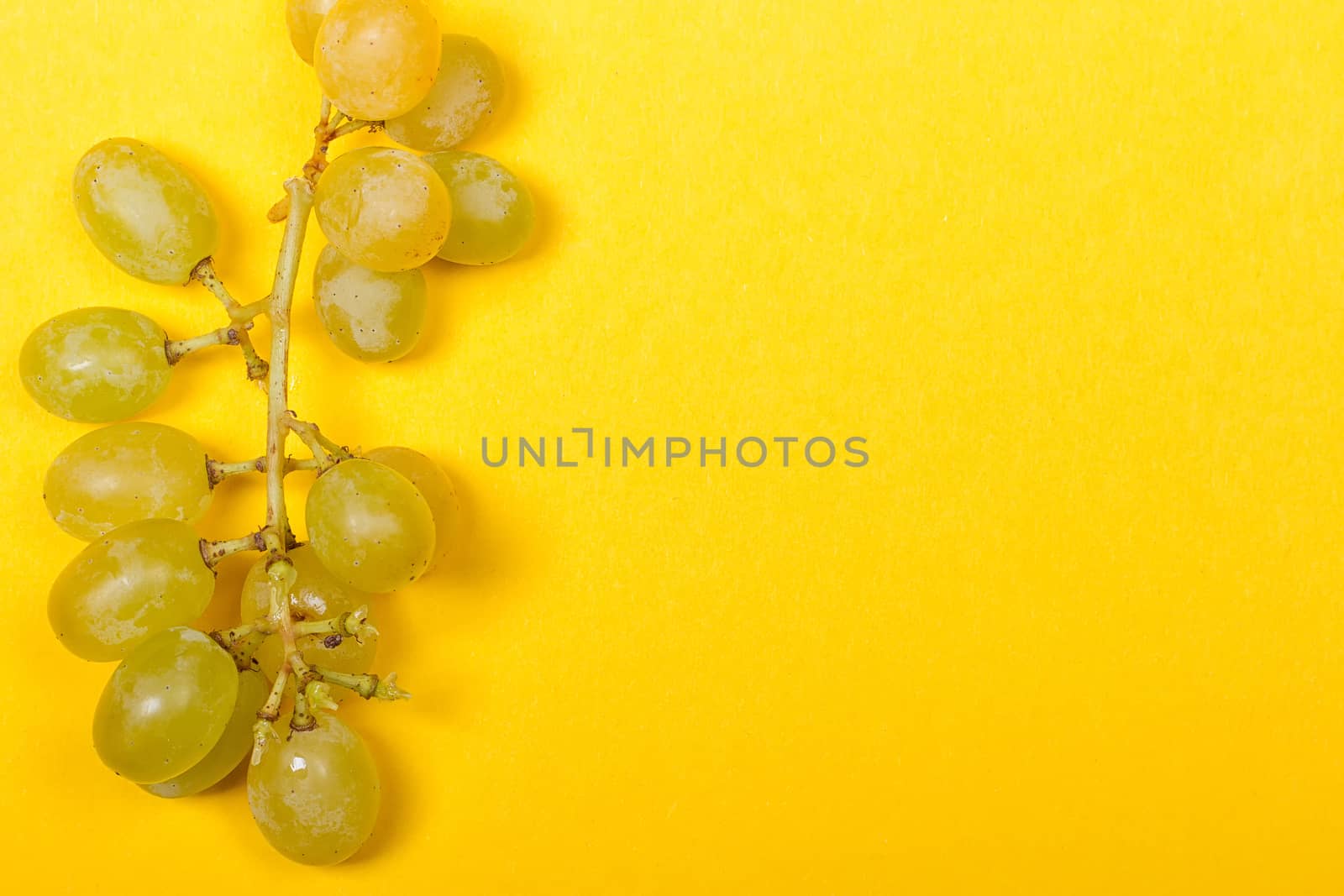 Green grape bunch on the yellow background