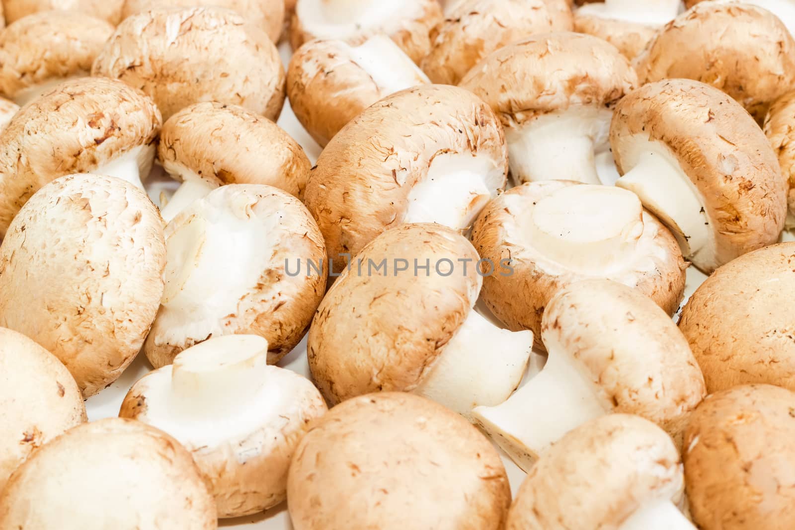 Uncooked whole edible mushrooms closeup by anmbph